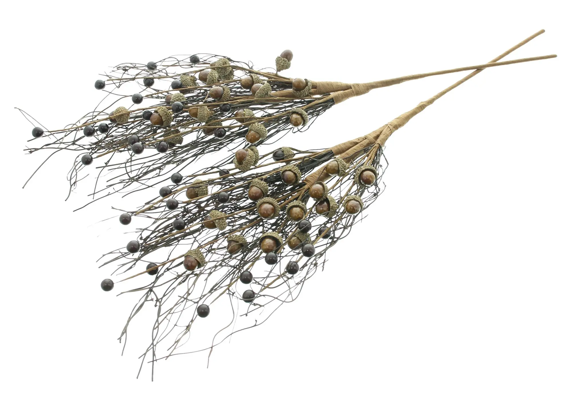 Acheter Branche décorative « glands », lot de 2 dans la boutique en ligne de Frank Flechtwaren