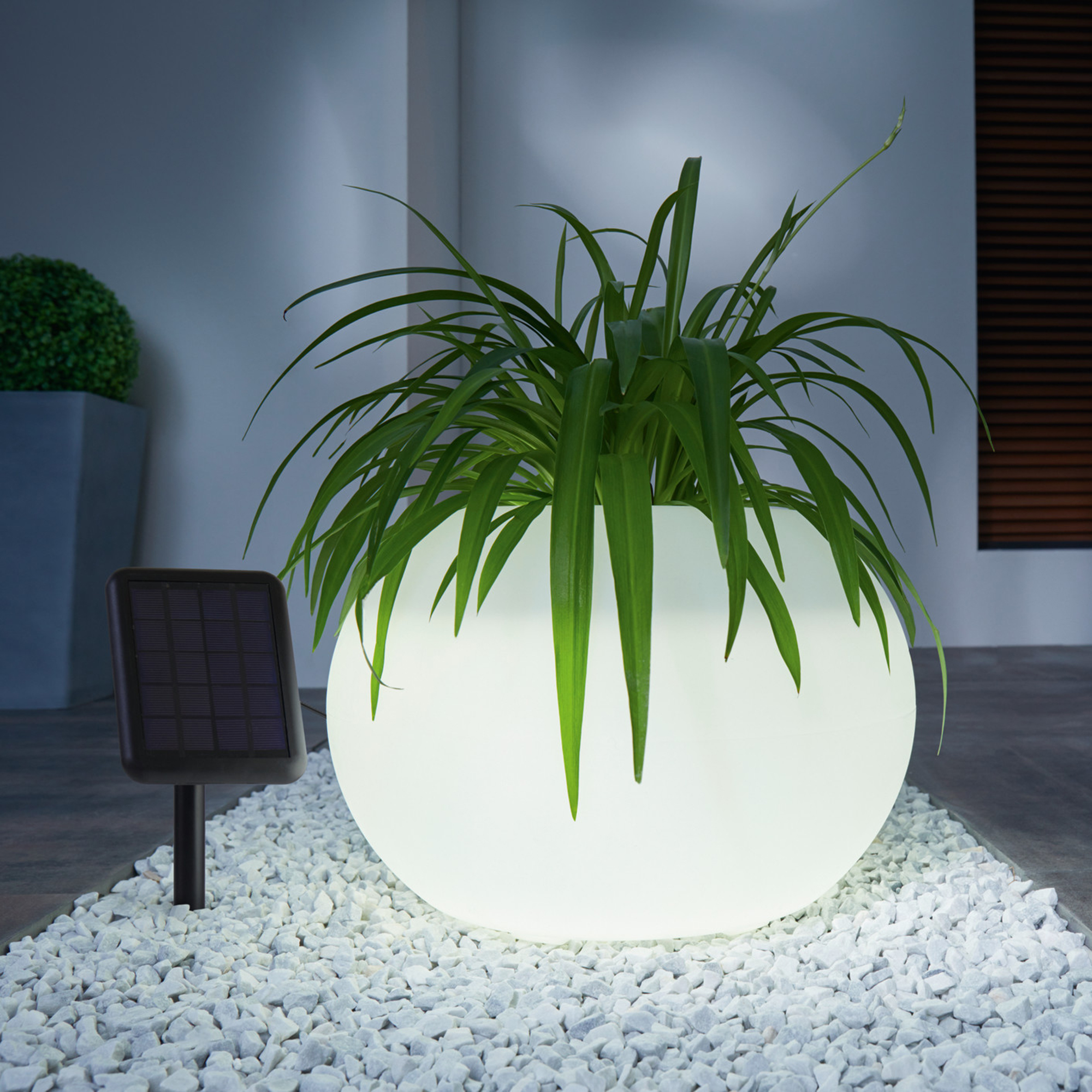 Acheter Jardinière LED solaire "lumières"  dans la boutique en ligne de Frank Flechtwaren
