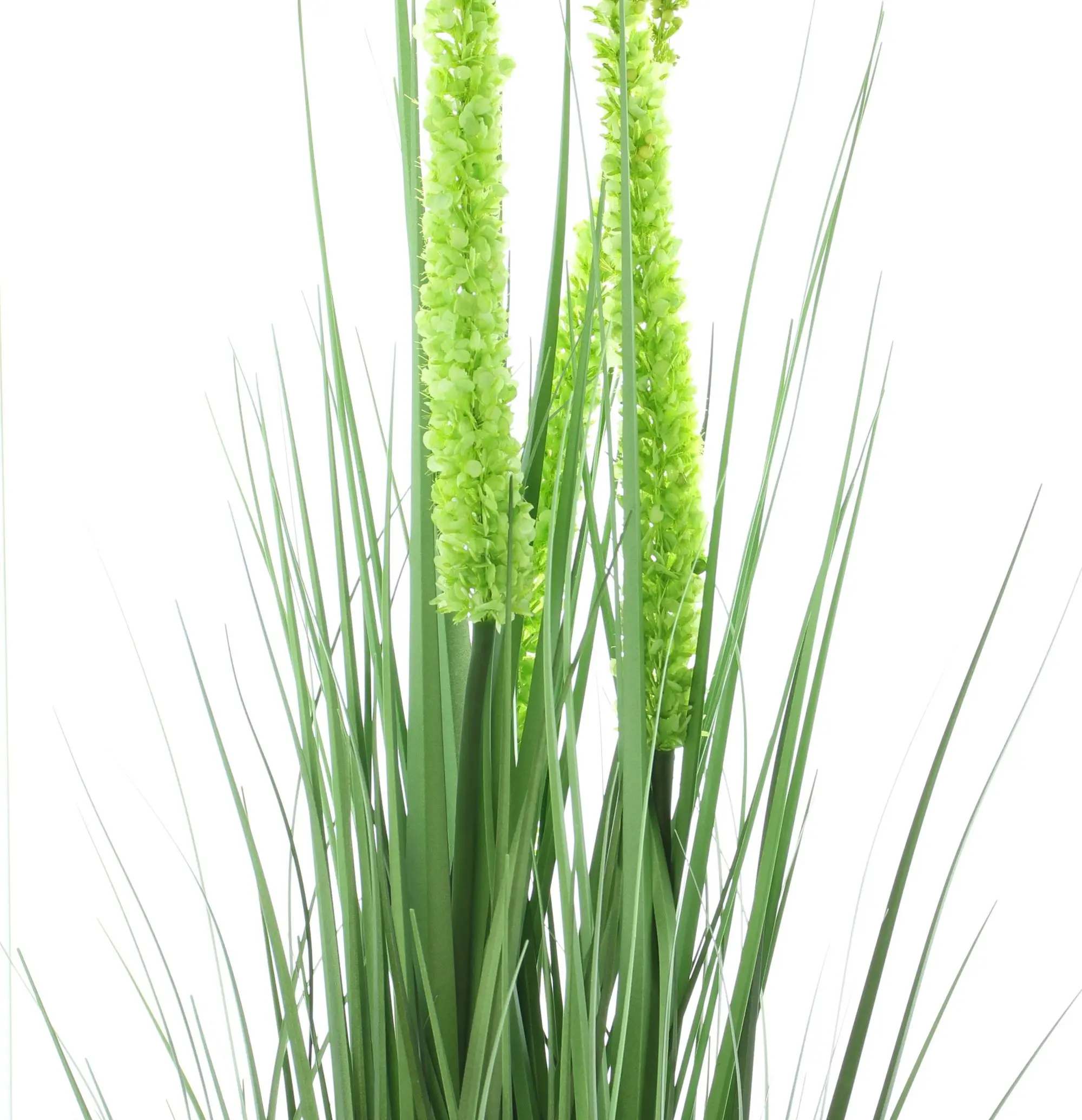 Acheter Plante en pot "érémurus"  dans la boutique en ligne de Frank Flechtwaren pour Plantes artificielles