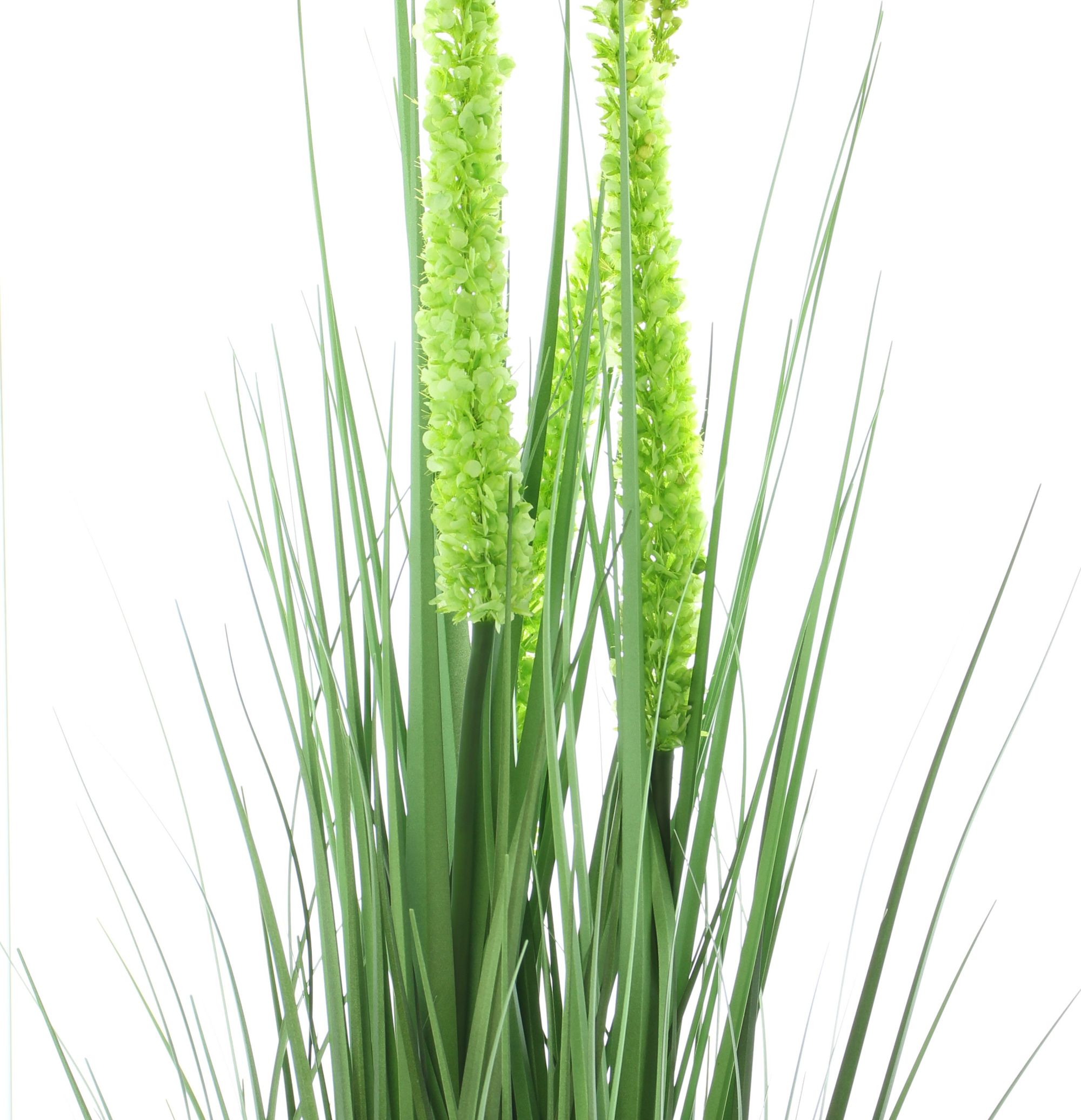 Acheter Plante en pot "érémurus"  dans la boutique en ligne de Frank Flechtwaren pour Plantes artificielles