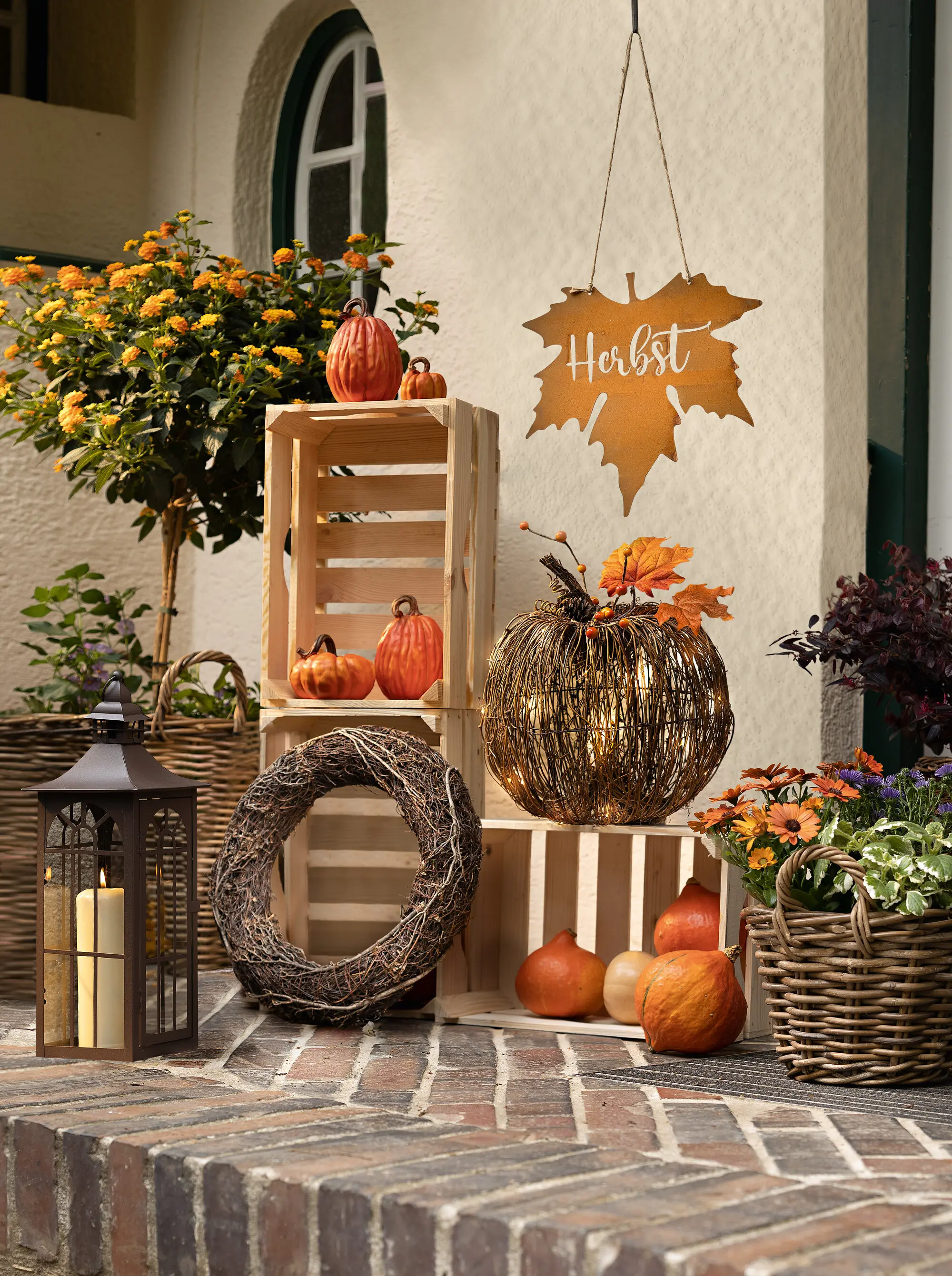 Acheter Citrouille LED "accents d'automne" dans la boutique en ligne de Frank Flechtwaren pour Citrouilles Acheter Citrouille LED "accents d'automne" dans la boutique en ligne de Frank Flechtwaren pour Citrouilles