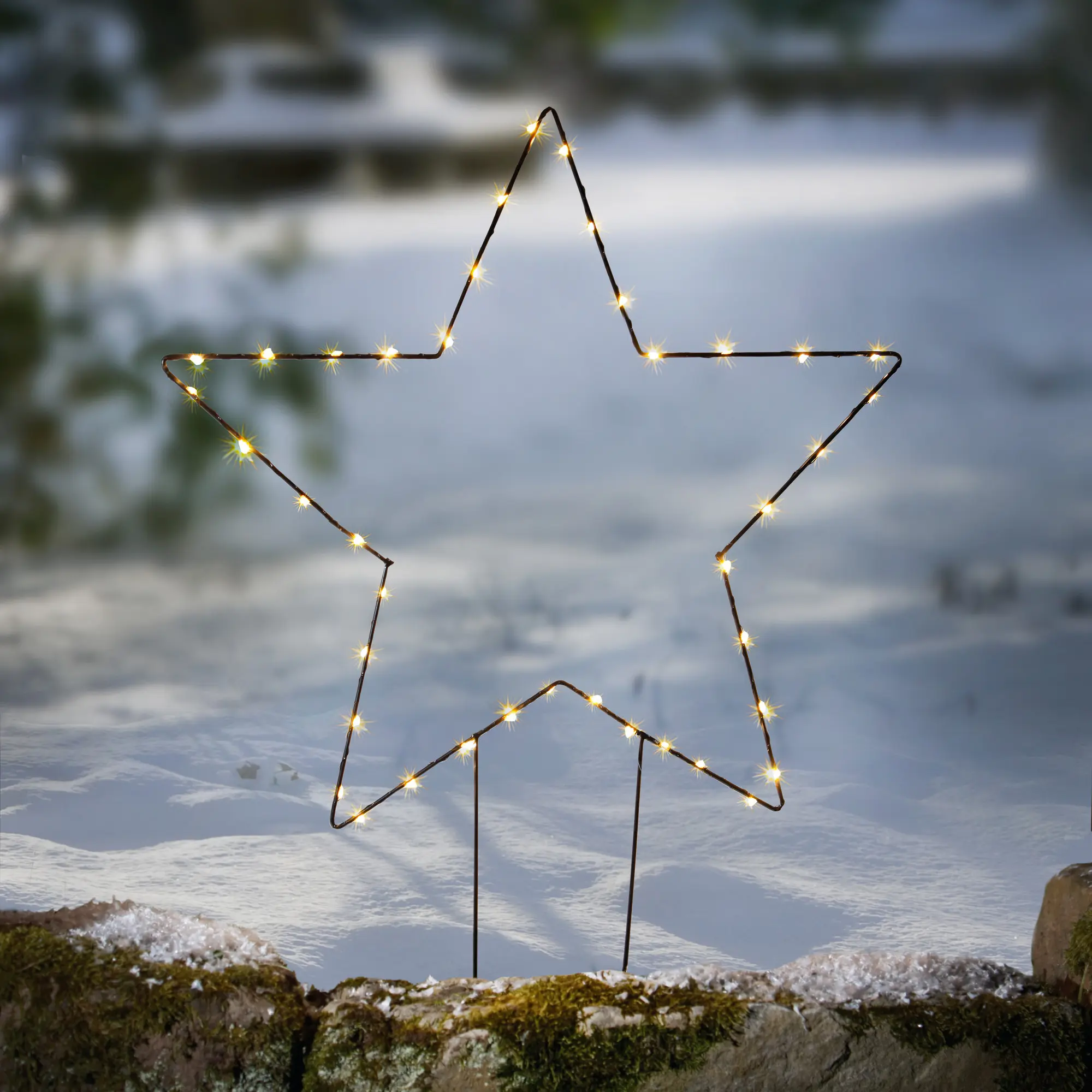 Acheter Pic de jardin LED "étoile"  dans la boutique en ligne de Frank Flechtwaren