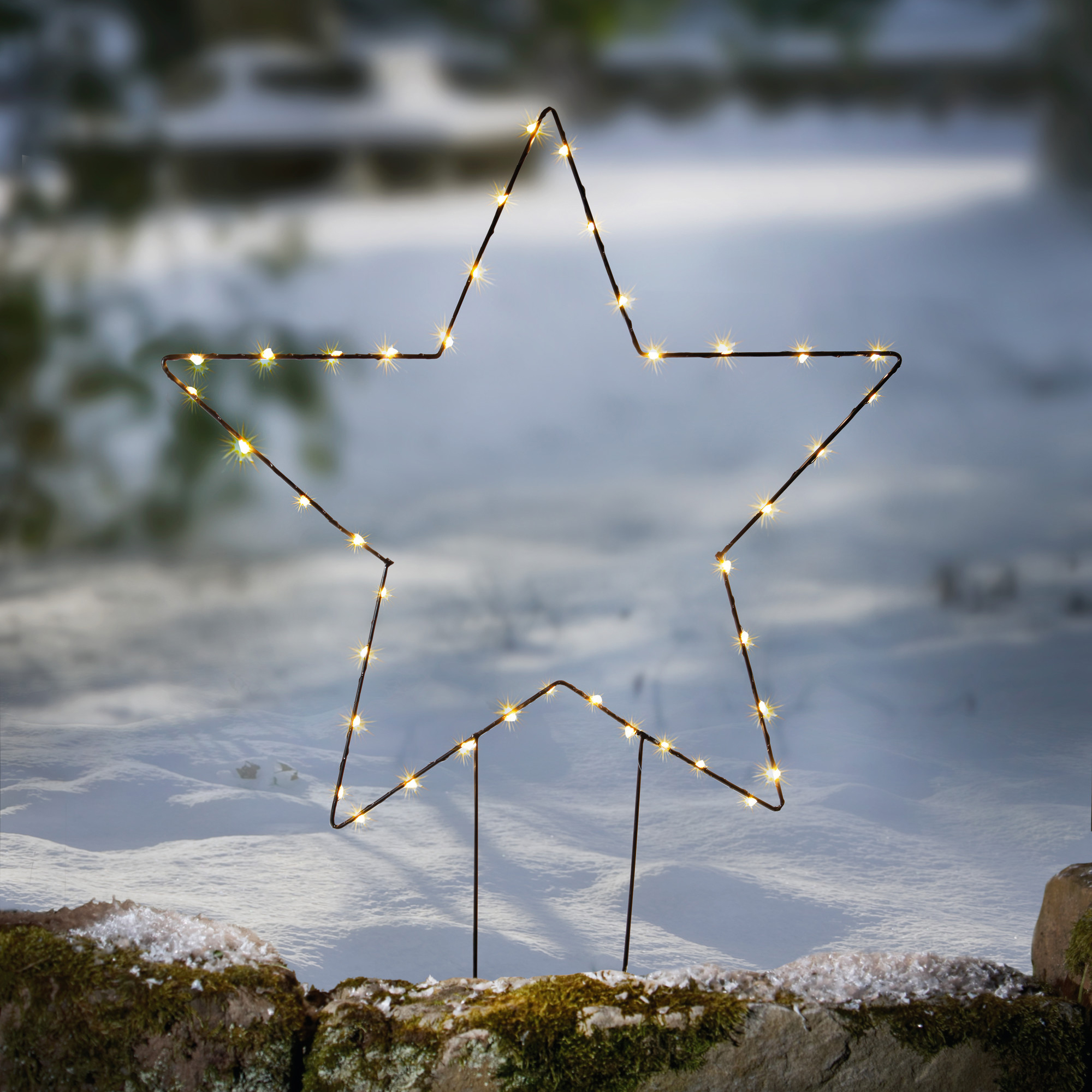 Acheter Pic de jardin LED "étoile"  dans la boutique en ligne de Frank Flechtwaren