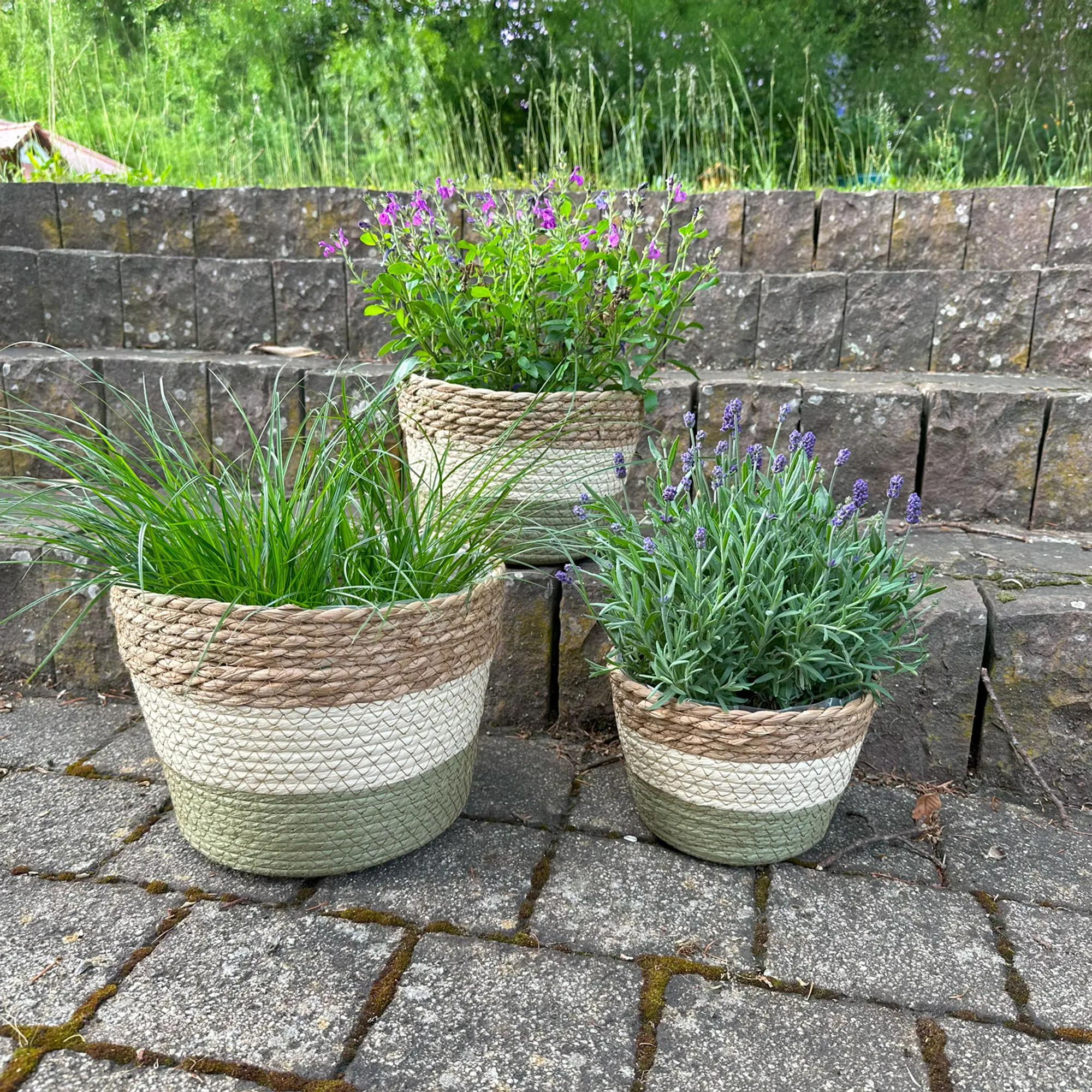 Acheter Jardinière "couleurs naturelles", GM dans la boutique en ligne de Frank Flechtwaren pour Jardinières corbeilles Acheter Jardinière "couleurs naturelles", GM dans la boutique en ligne de Frank Flechtwaren pour Jardinières corbeilles