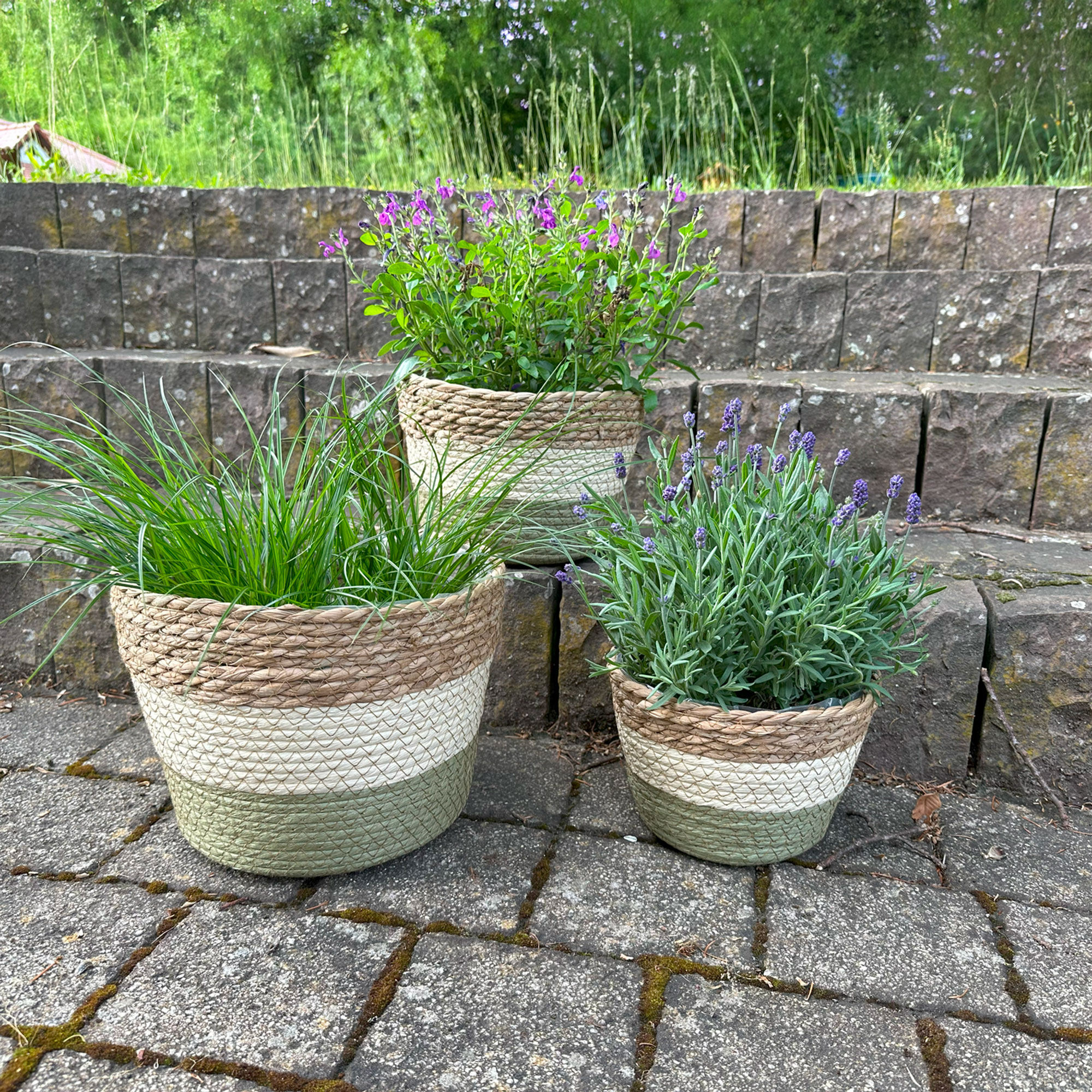 Acheter Jardinière "couleurs naturelles", GM  dans la boutique en ligne de Frank Flechtwaren pour Jardinières corbeilles