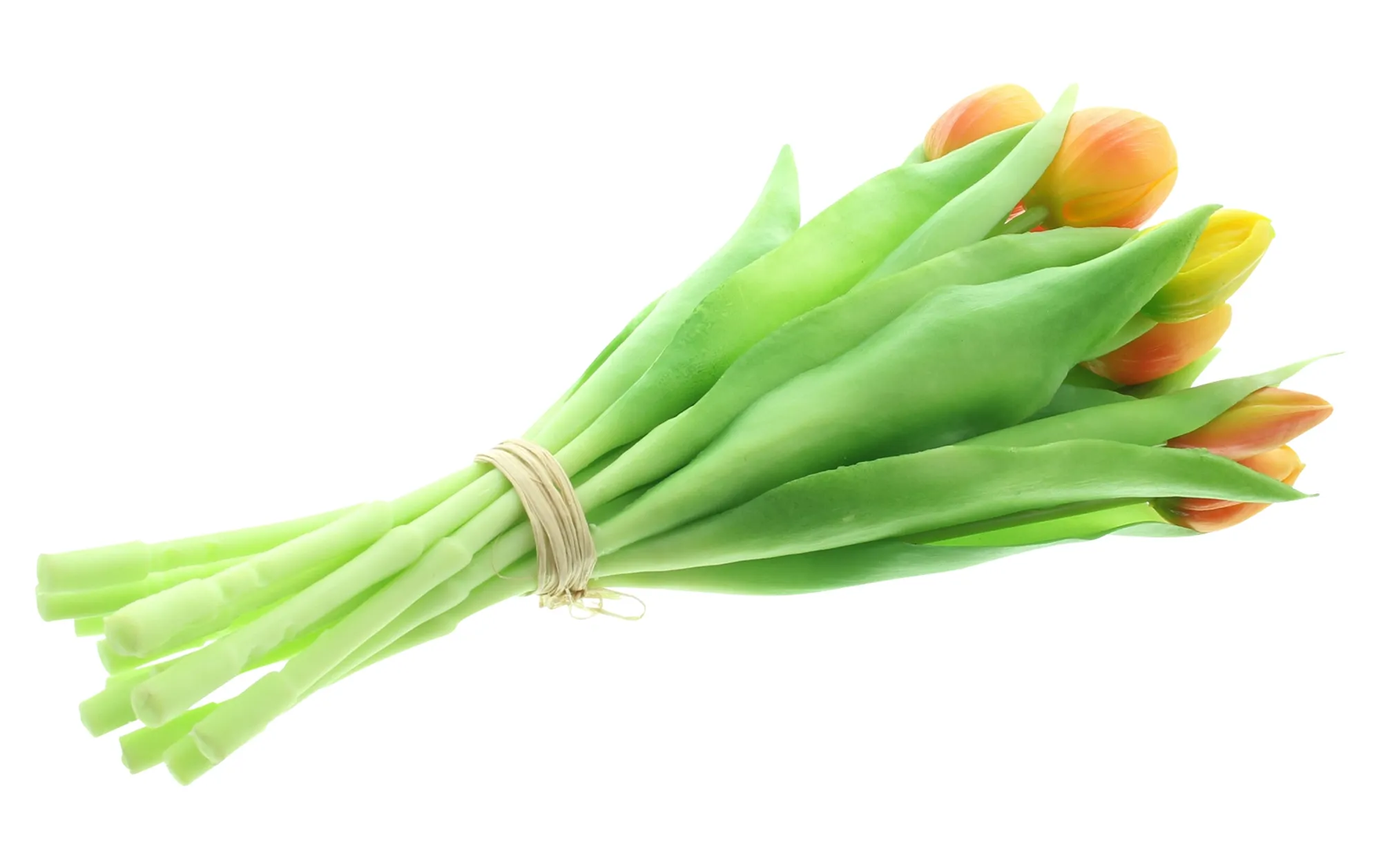 Acheter Lot de 14 tulipes "jaune &amp; orange"  dans la boutique en ligne de Frank Flechtwaren pour Pâques colorée