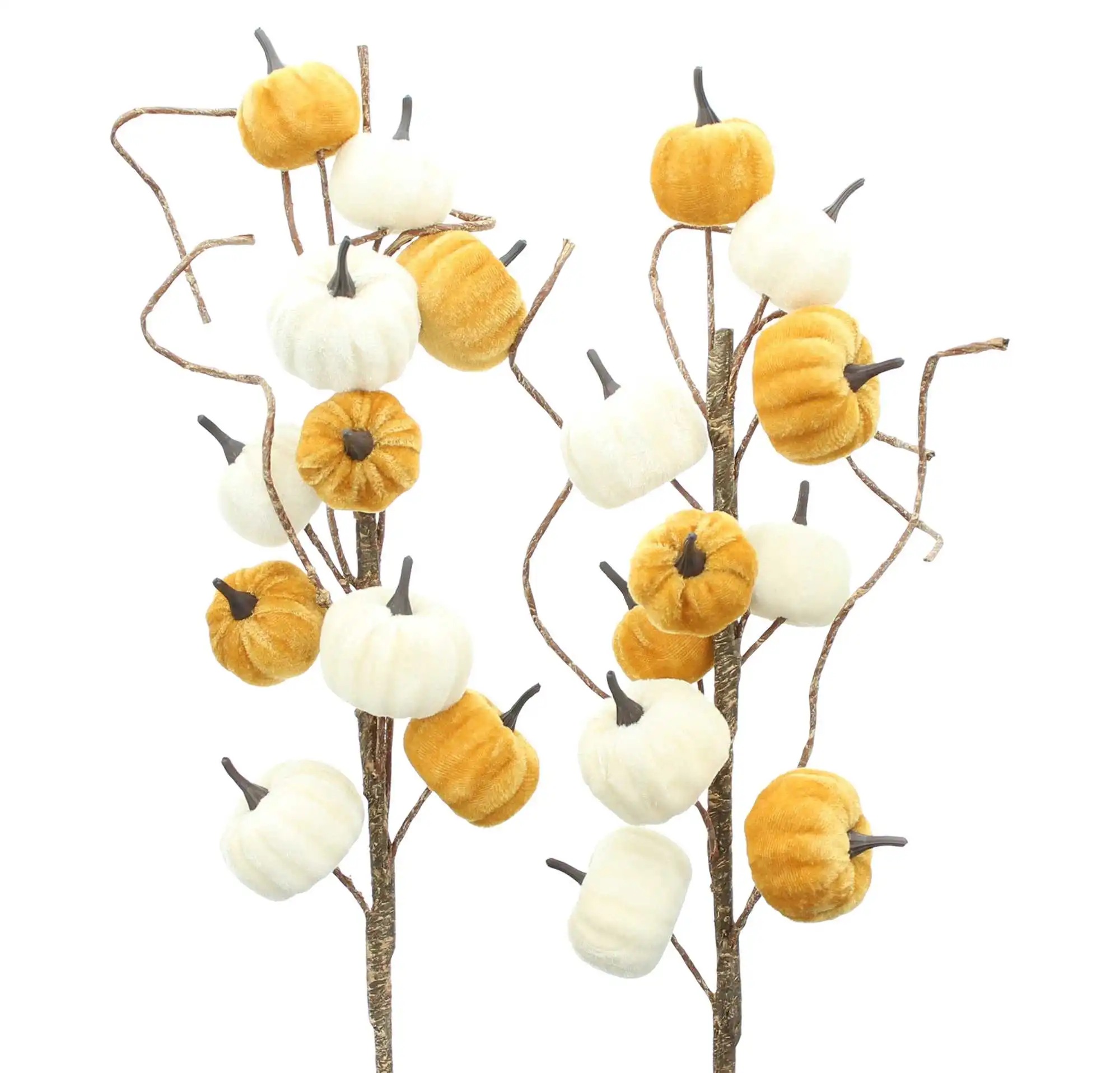Acheter Lot de 2 branches "citrouilles"  dans la boutique en ligne de Frank Flechtwaren pour Couronnes d'automne &amp; arrangements 