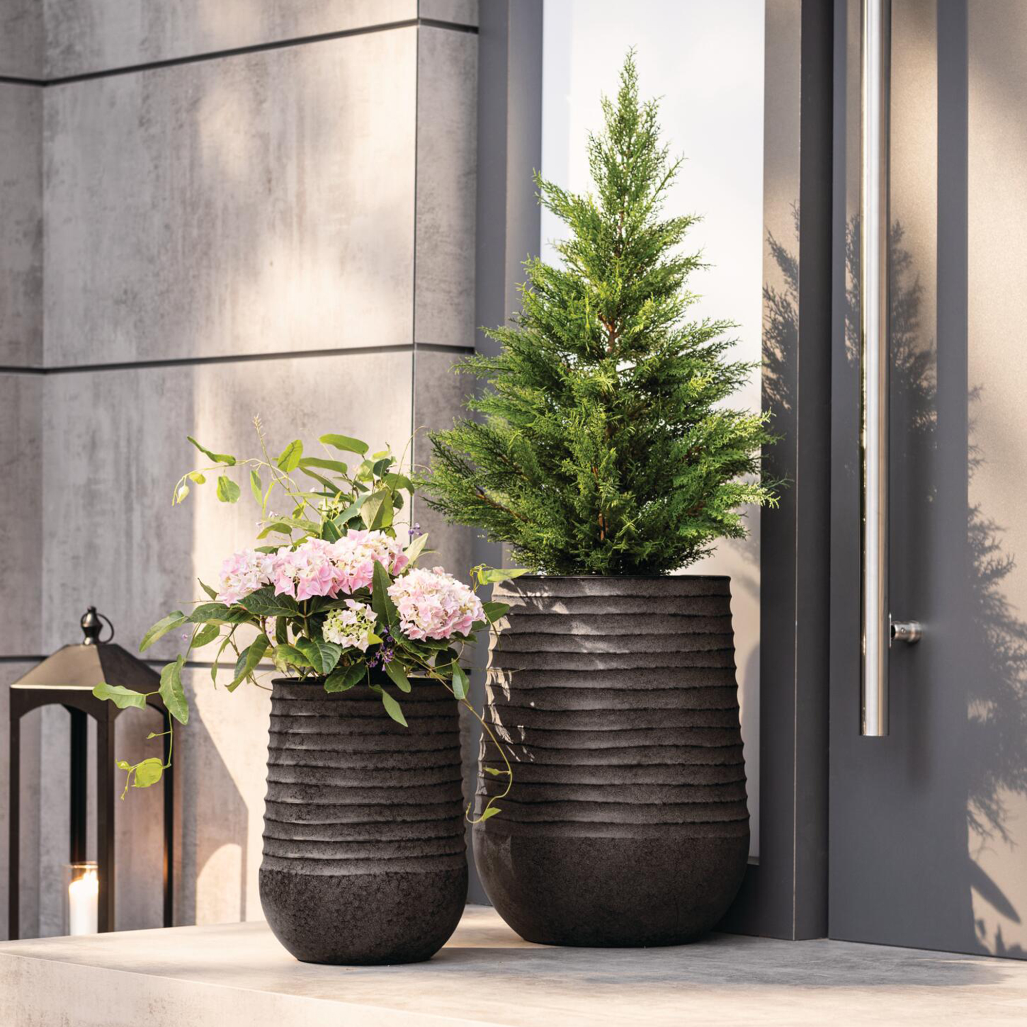 Acheter Plante artificielle "Conifère"  dans la boutique en ligne de Frank Flechtwaren pour Plantes artificielles