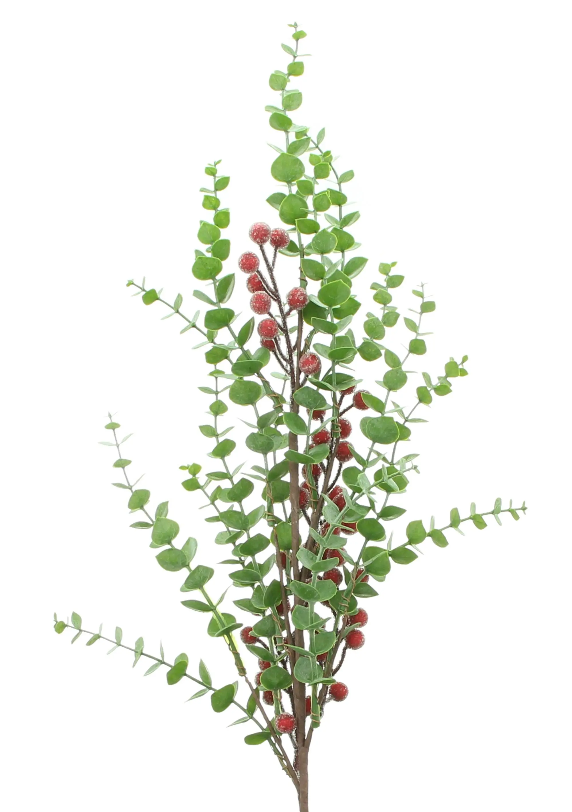 Acheter Branche "baies givrées"  dans la boutique en ligne de Frank Flechtwaren pour Couronnes et bouquets