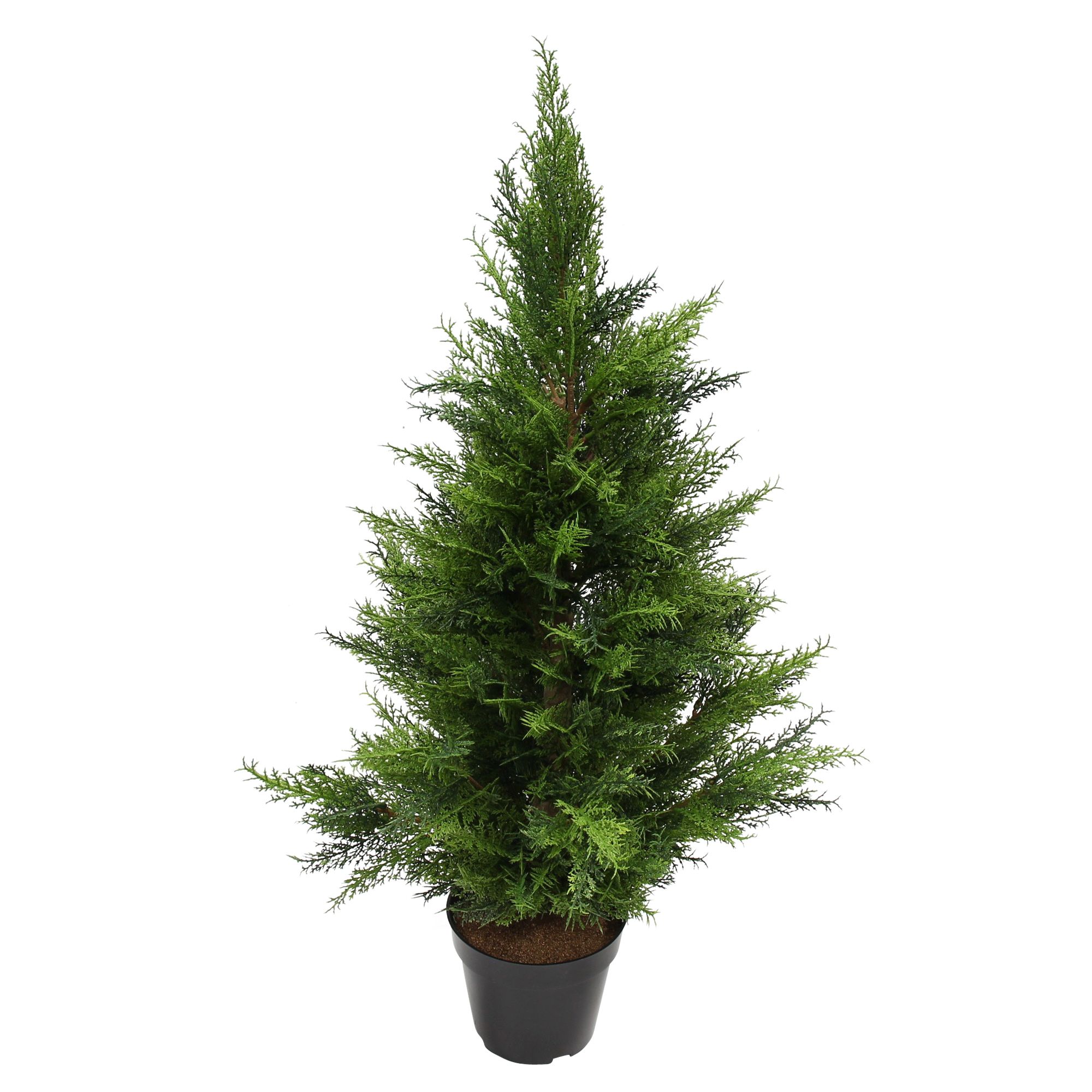 Acheter Plante artificielle "Conifère"  dans la boutique en ligne de Frank Flechtwaren pour Plantes artificielles