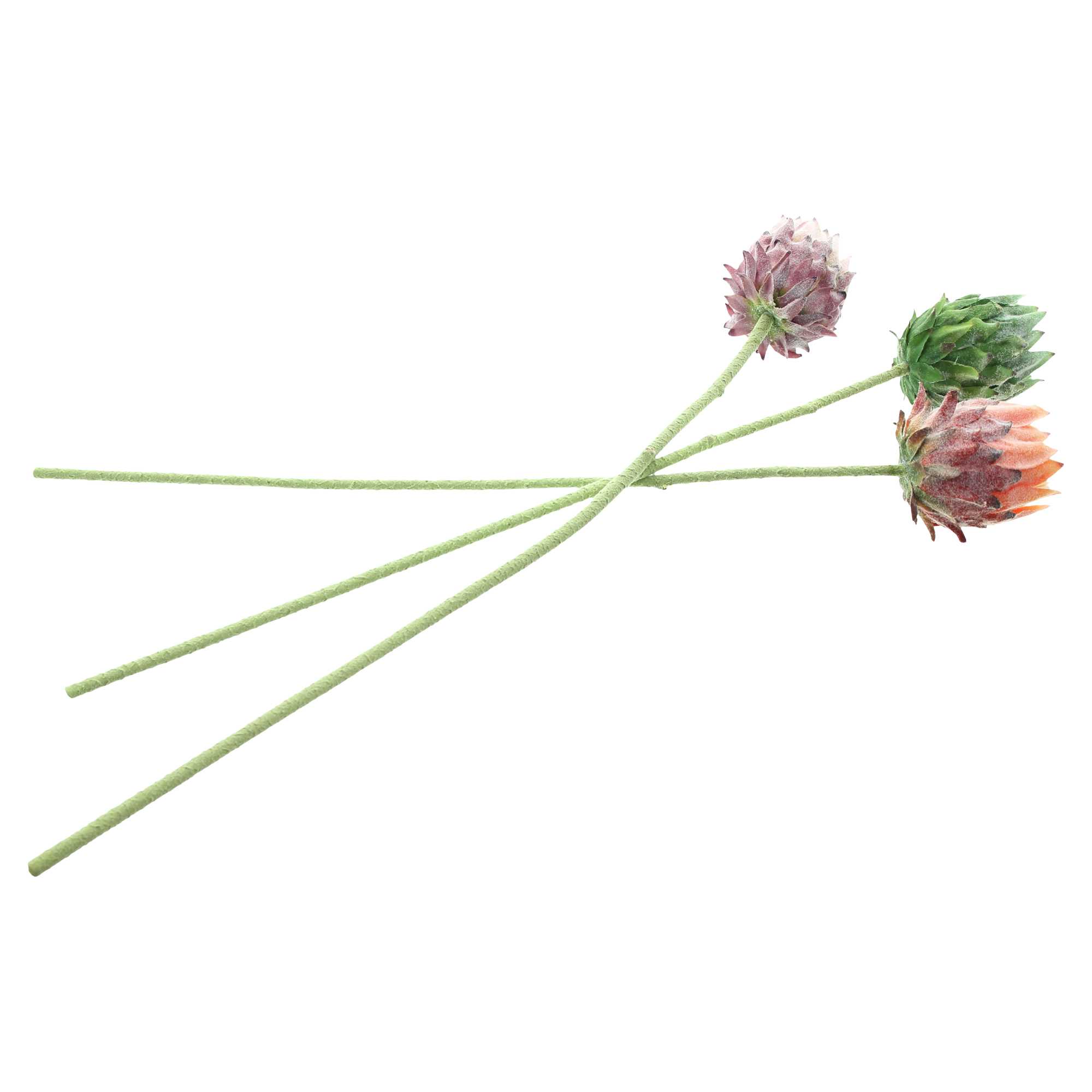 Acheter Lot de 3 fleurs "protea"  dans la boutique en ligne de Frank Flechtwaren pour Plantes artificielles