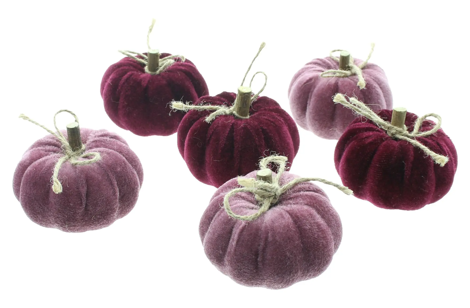 Acheter Citrouilles « Purple Mix », 6 lot de dans la boutique en ligne de Frank Flechtwaren pour Citrouilles