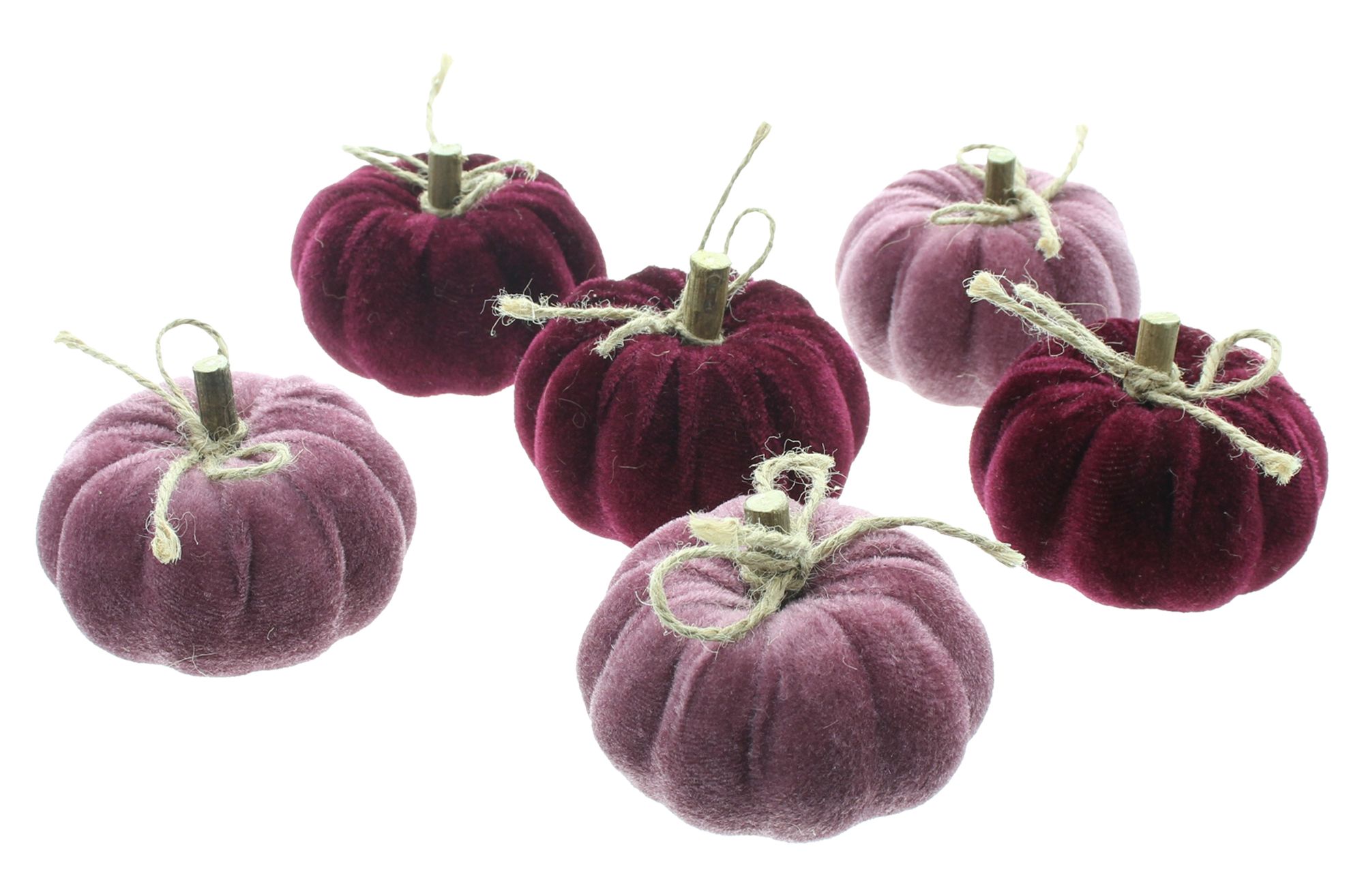 Acheter Citrouilles « Purple Mix », 6 lot de dans la boutique en ligne de Frank Flechtwaren pour Citrouilles