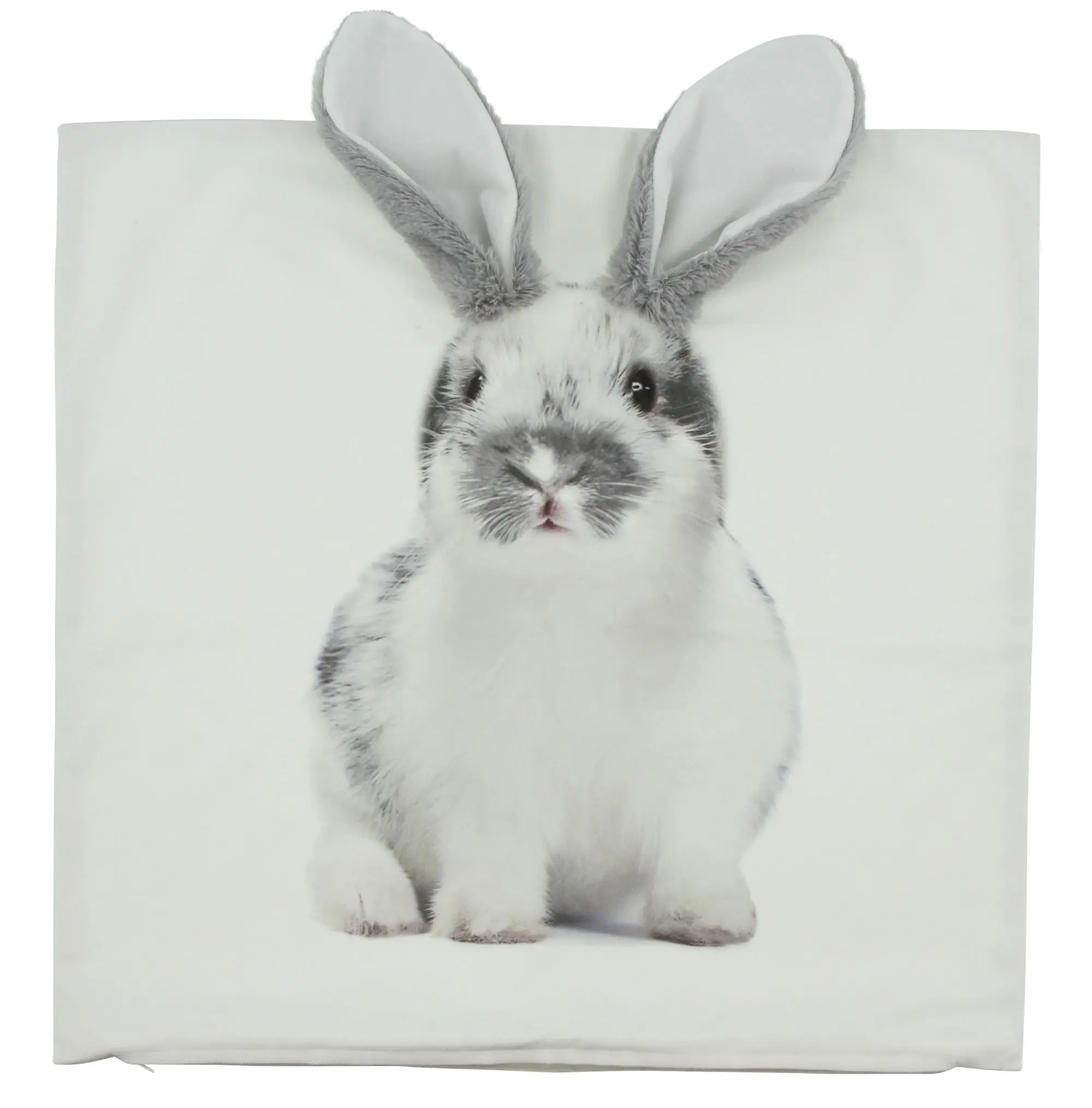 Acheter Housse de coussin "oreilles de lapin"  dans la boutique en ligne de Frank Flechtwaren pour Pâques