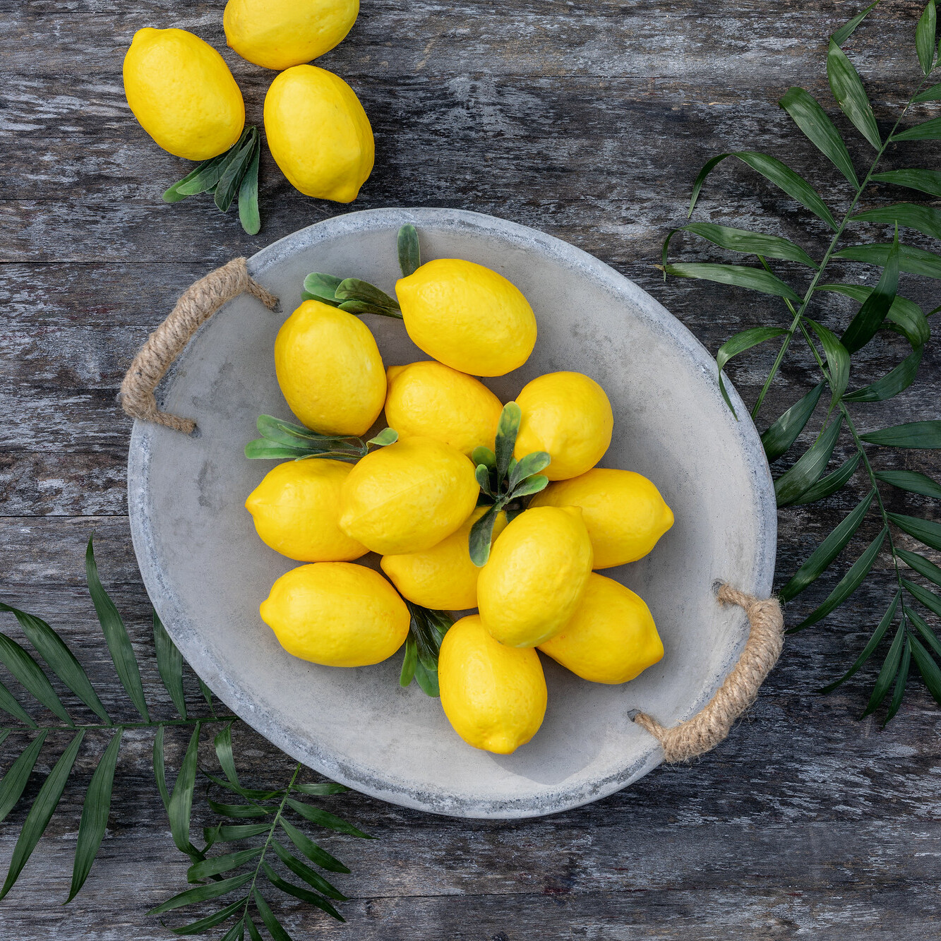 Acheter Lot de 8 citrons  dans la boutique en ligne de Frank Flechtwaren