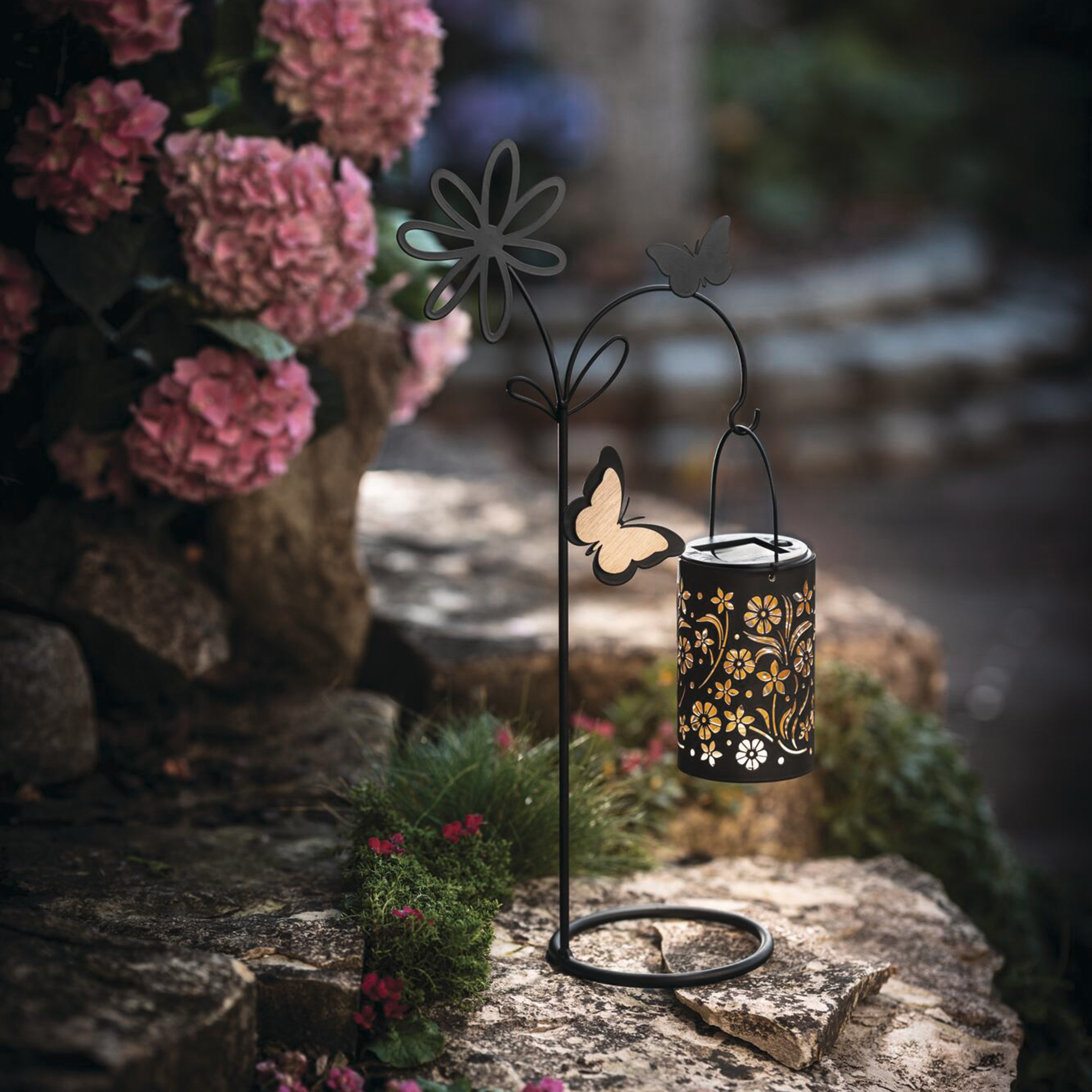 Acheter Déco solaire "lantern fleurie"  dans la boutique en ligne de Frank Flechtwaren