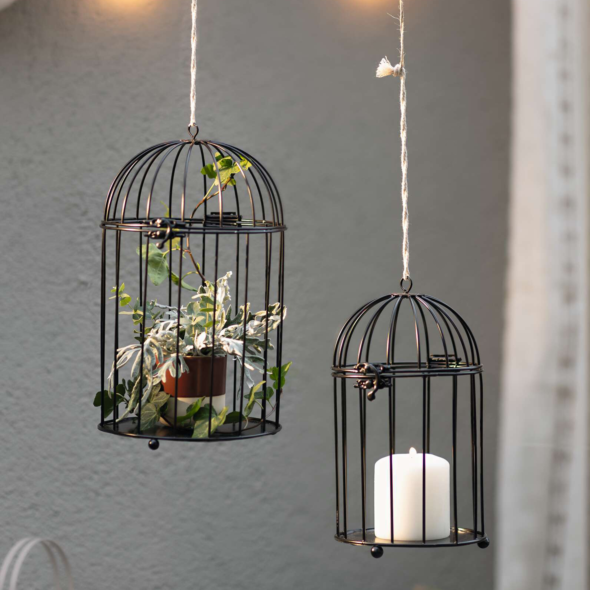 Acheter Lot de 2 cages décoratives "Gabbia"  dans la boutique en ligne de Frank Flechtwaren