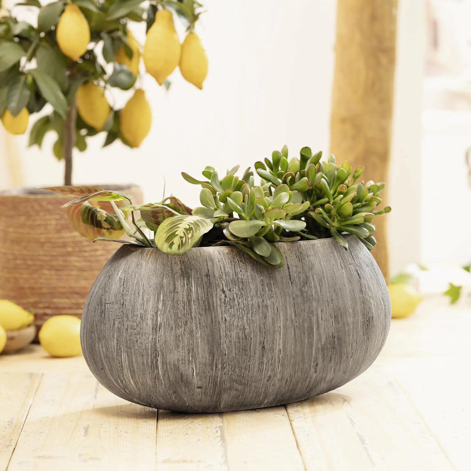 Acheter Jardinière "Woodgrey"  dans la boutique en ligne de Frank Flechtwaren