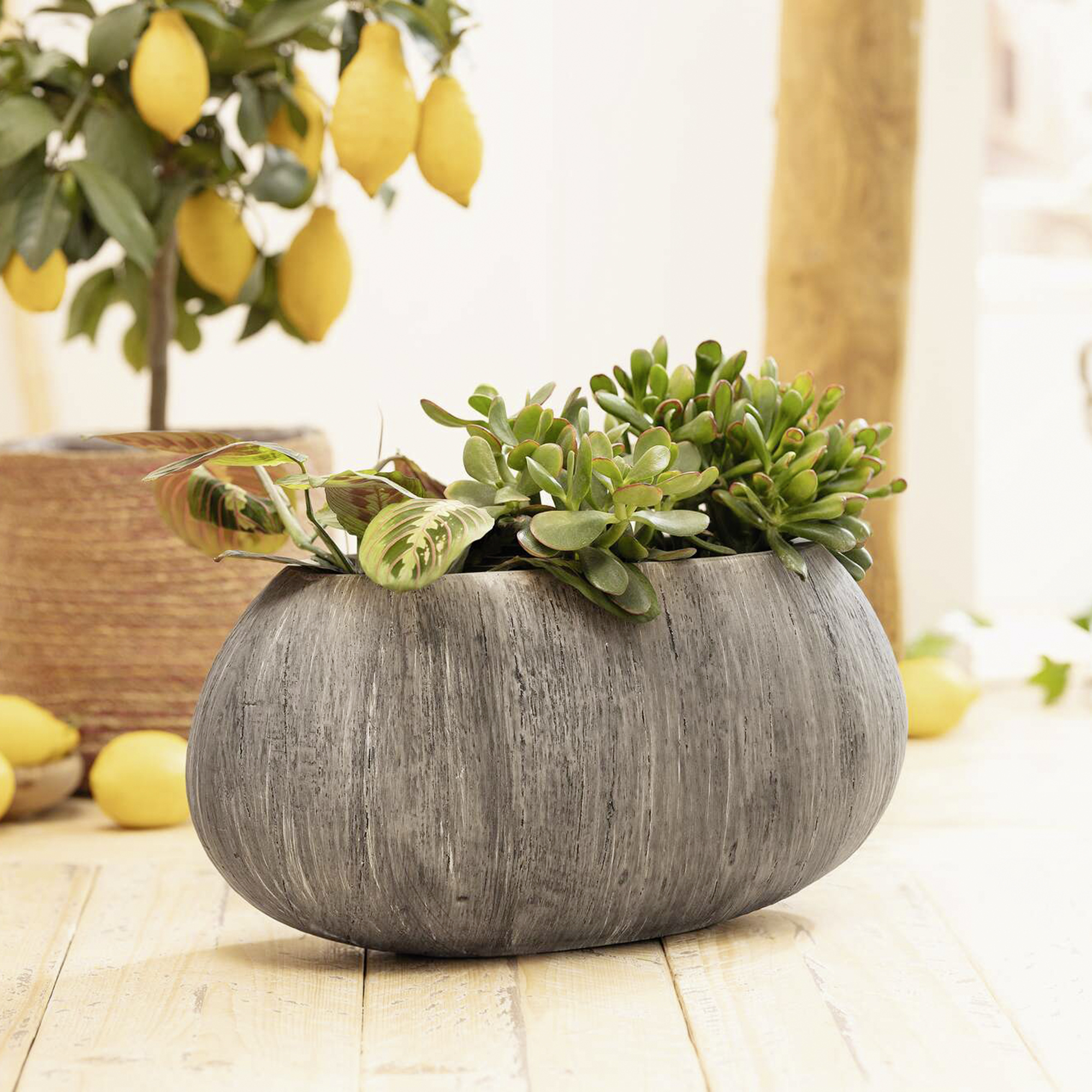 Acheter Jardinière "Woodgrey"  dans la boutique en ligne de Frank Flechtwaren