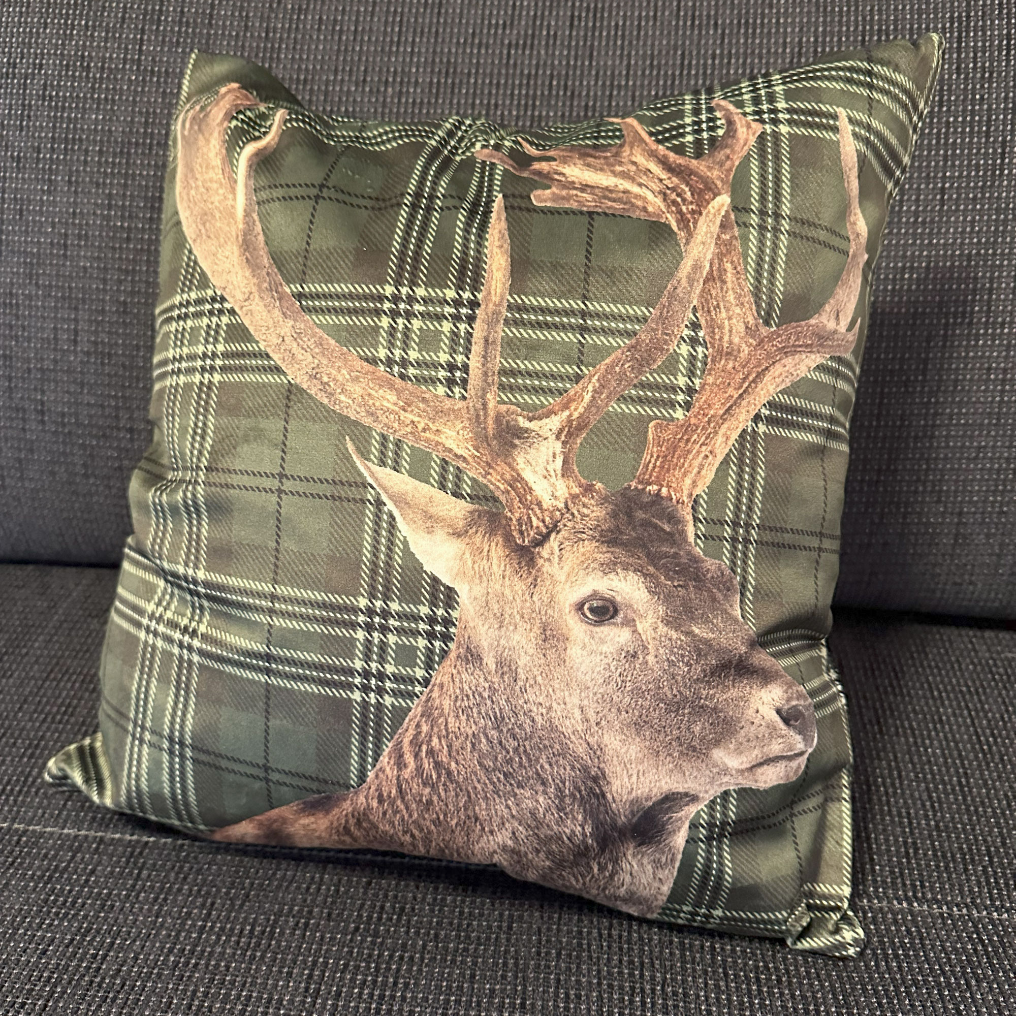 Acheter Housse de coussin « Cervo », verte  dans la boutique en ligne de Frank Flechtwaren