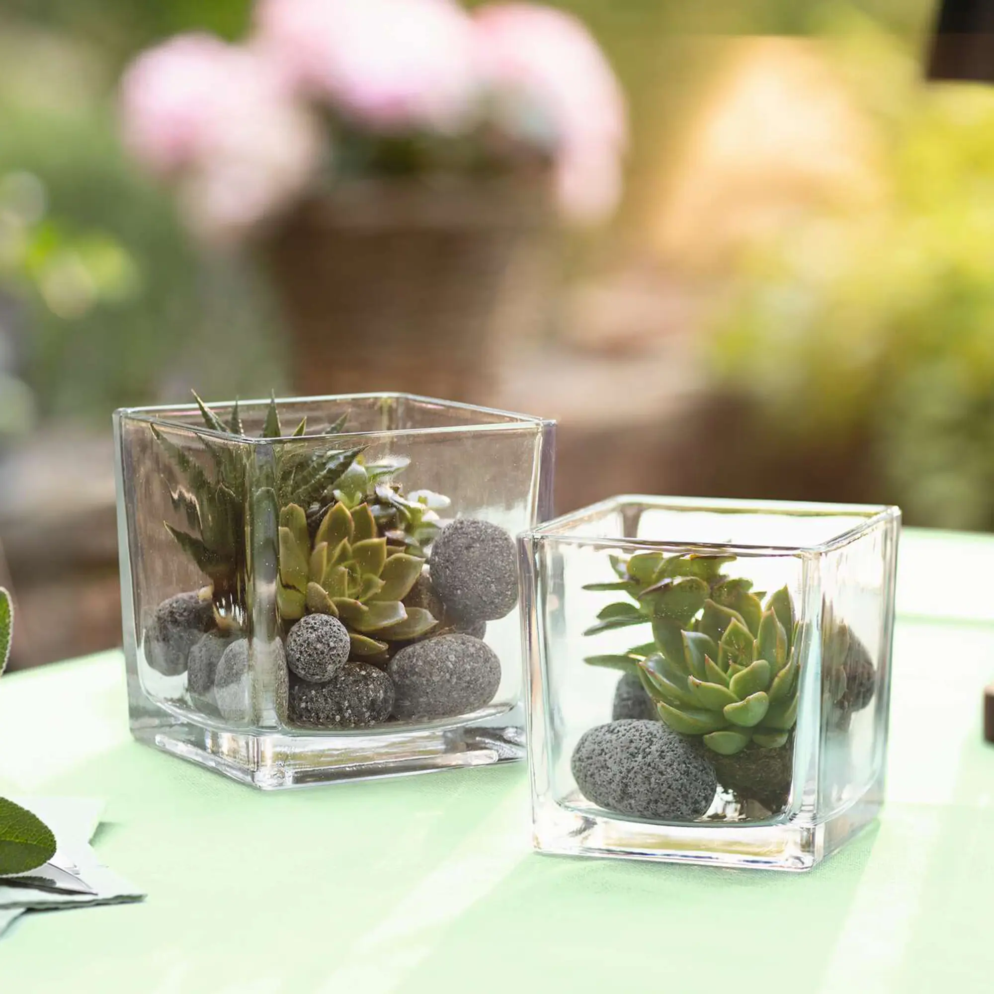 Acheter Lot de 2 verres décoratifs "carré"  dans la boutique en ligne de Frank Flechtwaren