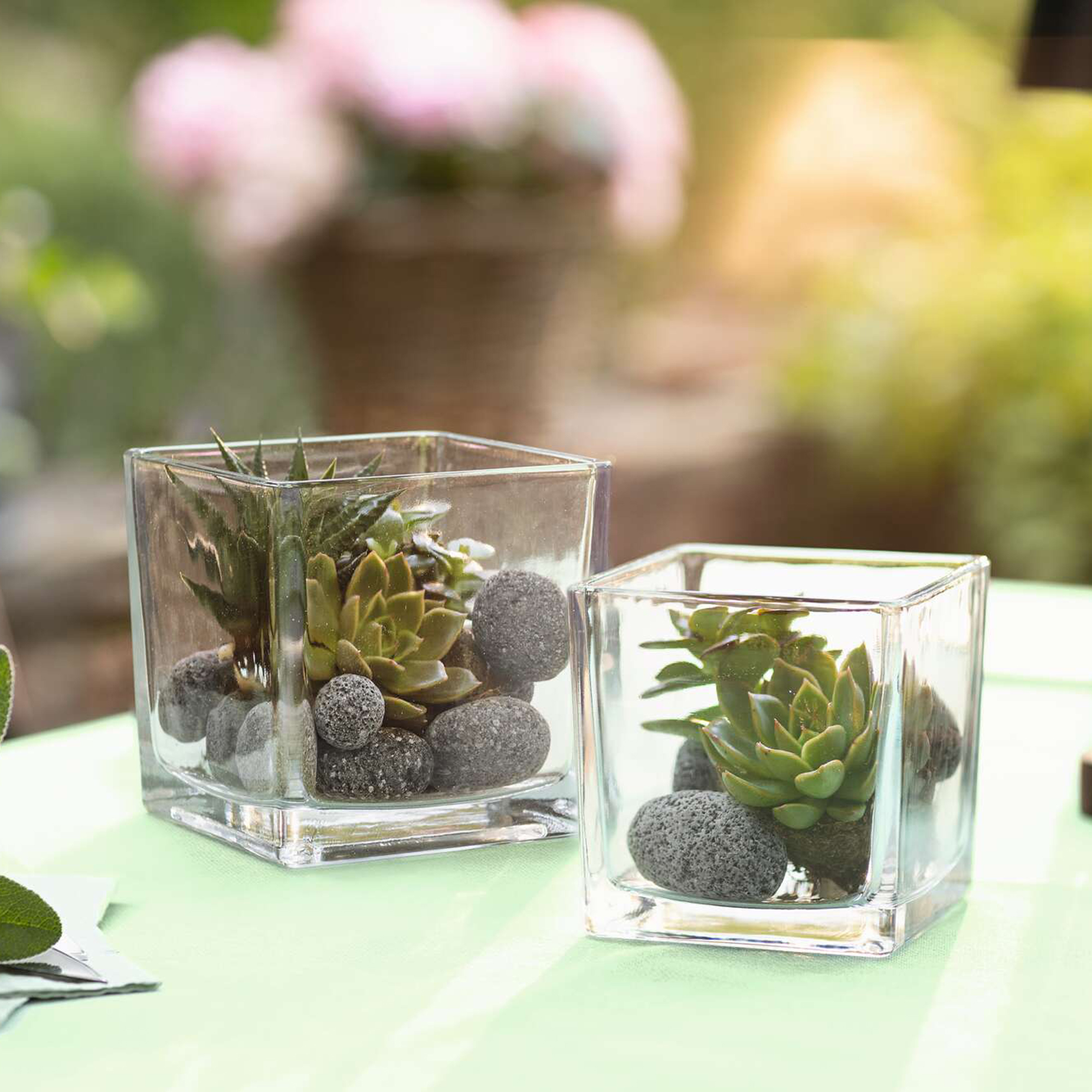 Acheter Lot de 2 verres décoratifs "carré"  dans la boutique en ligne de Frank Flechtwaren