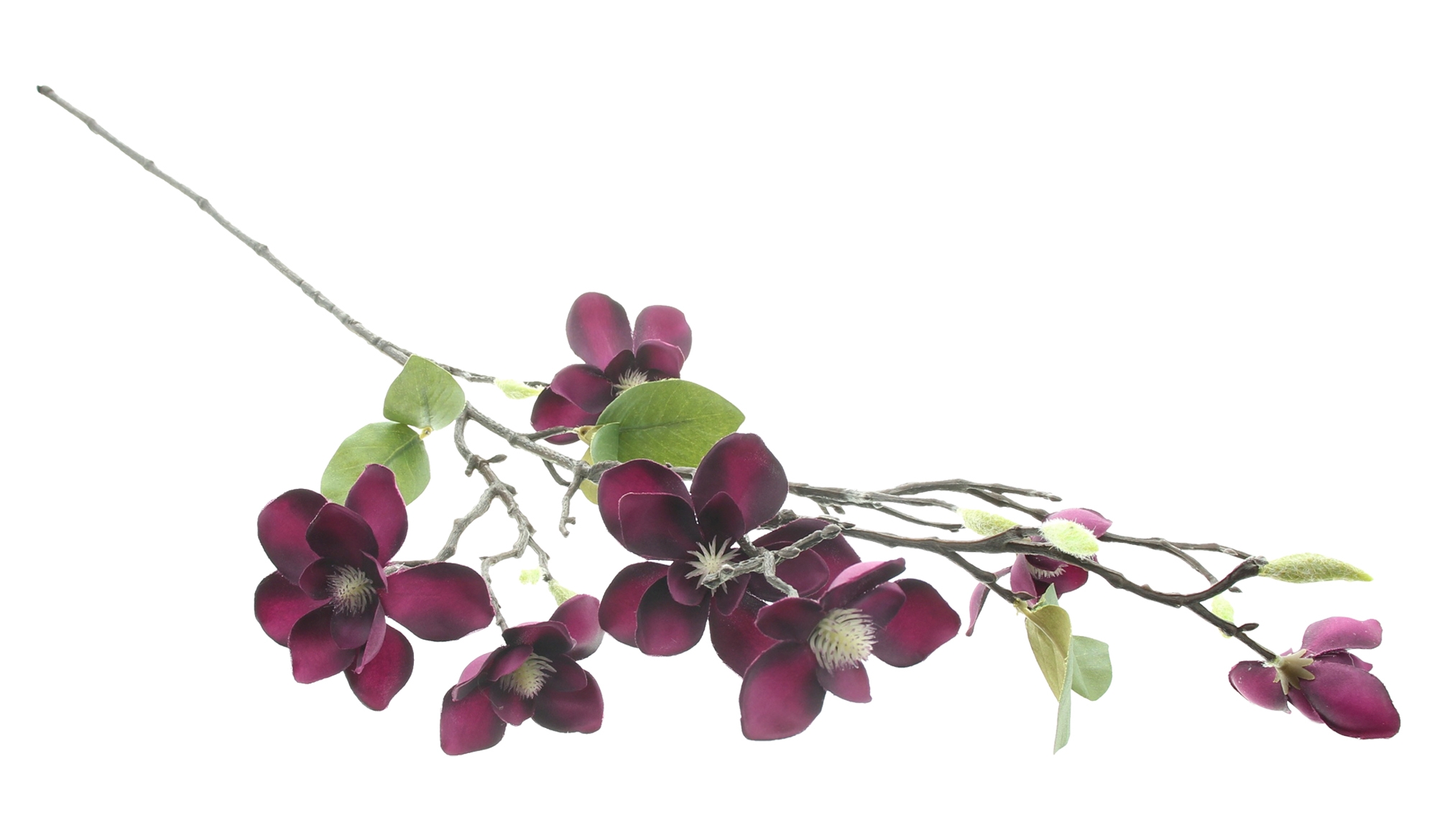 Acheter Fleur artificielle "branche de magnolia"  dans la boutique en ligne de Frank Flechtwaren pour Plantes artificielles