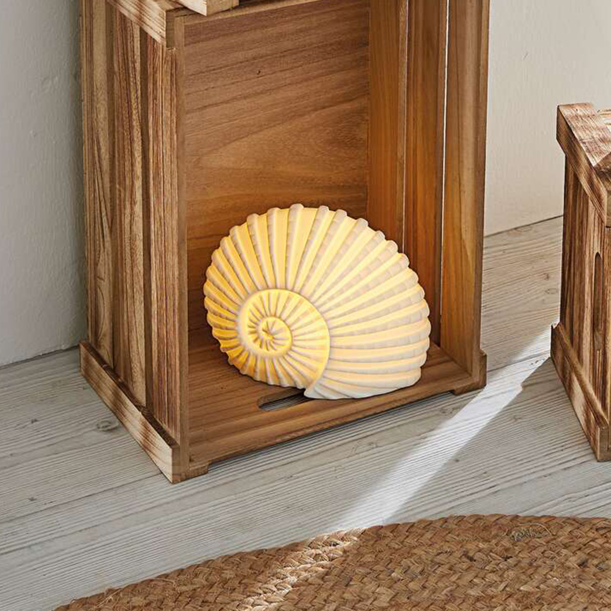 Acheter Coquillage LED "White"  dans la boutique en ligne de Frank Flechtwaren