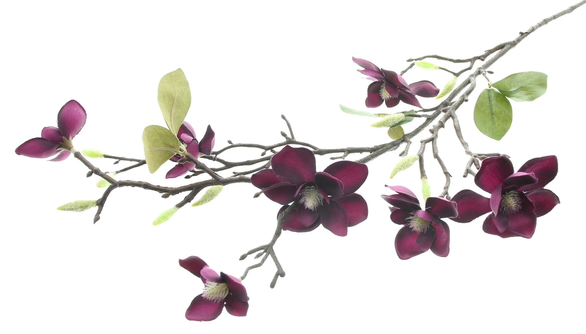 Acheter Fleur artificielle "branche de magnolia"  dans la boutique en ligne de Frank Flechtwaren pour Plantes artificielles