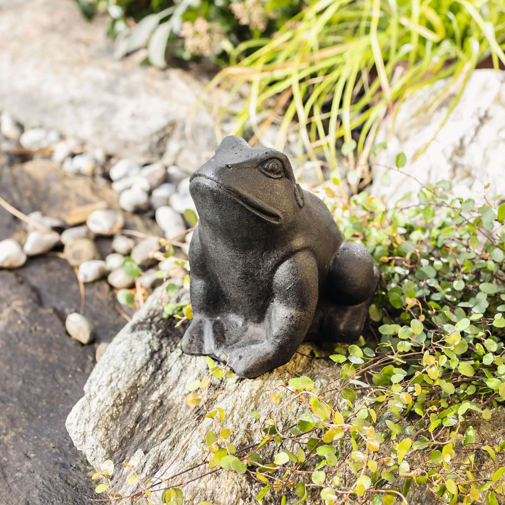 Acheter Figurine "grenouille"  dans la boutique en ligne de Frank Flechtwaren pour Figurines de jardin
