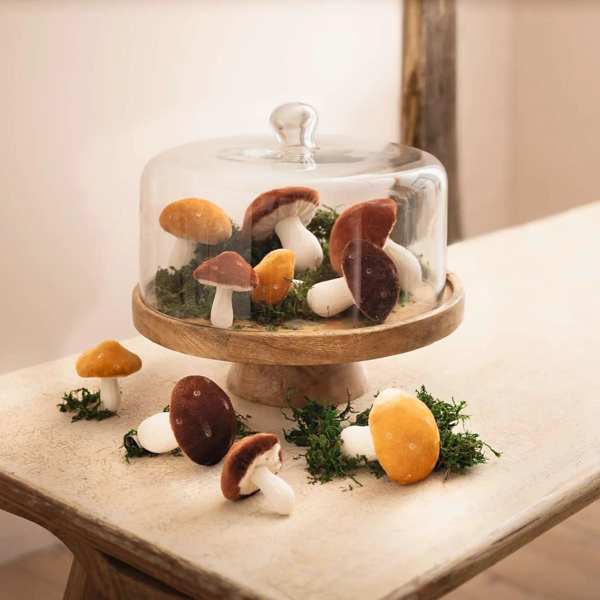 Acheter Plateau "bois de manguier" avec cloche en verre  dans la boutique en ligne de Frank Flechtwaren pour Cuisine