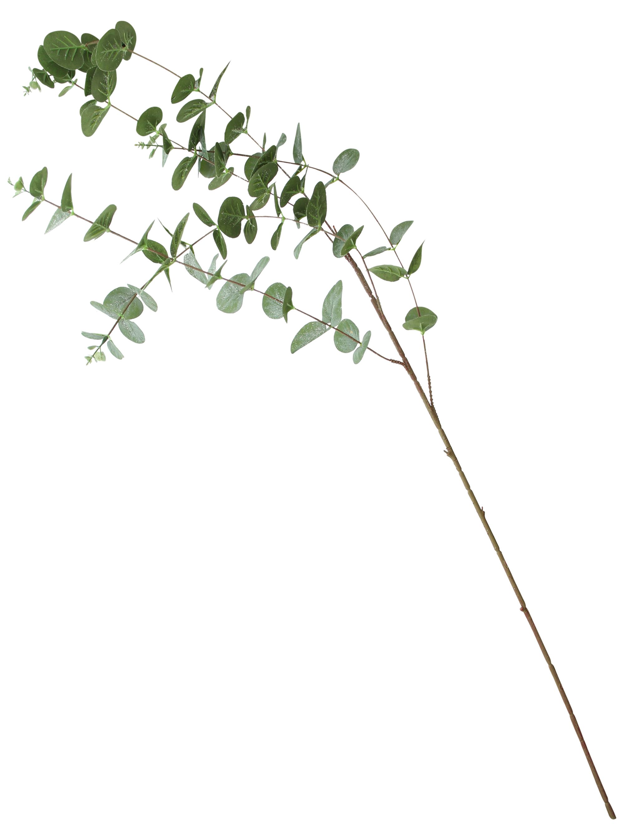 Acheter Lot de 2 branches "eucalyptus"  dans la boutique en ligne de Frank Flechtwaren pour Pâques