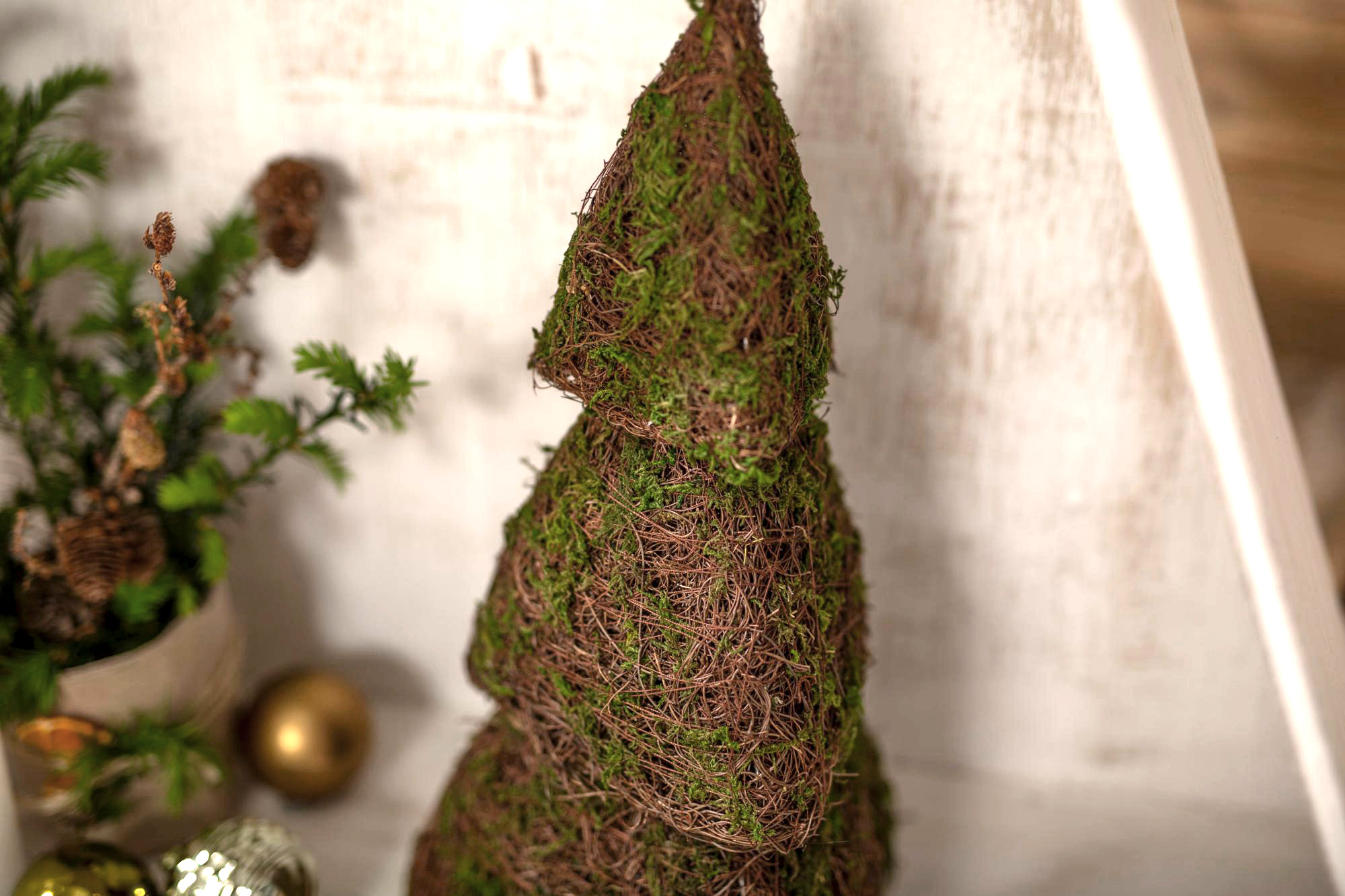 Acheter Pyramide de sapin « Mousse »  dans la boutique en ligne de Frank Flechtwaren pour Sapins