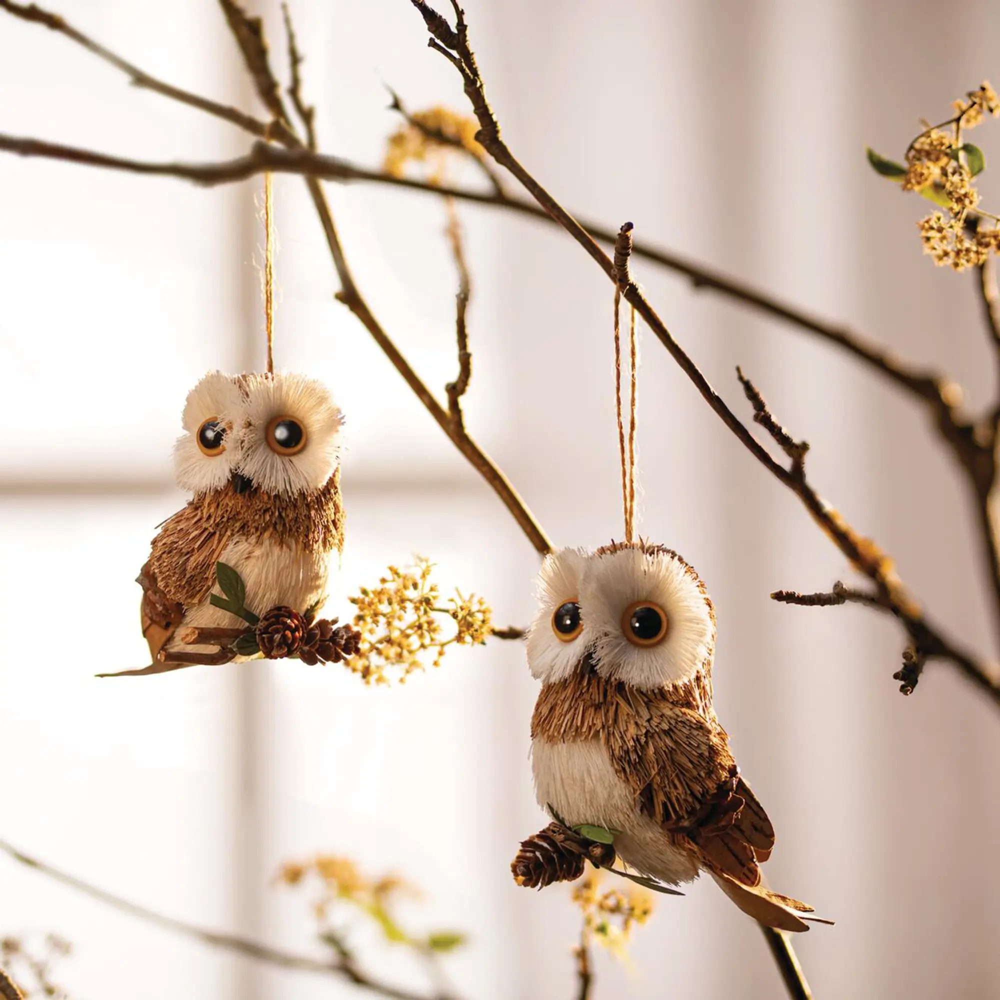 Acheter Suspensions décoratives « Hibou », lot de 2 dans la boutique en ligne de Frank Flechtwaren