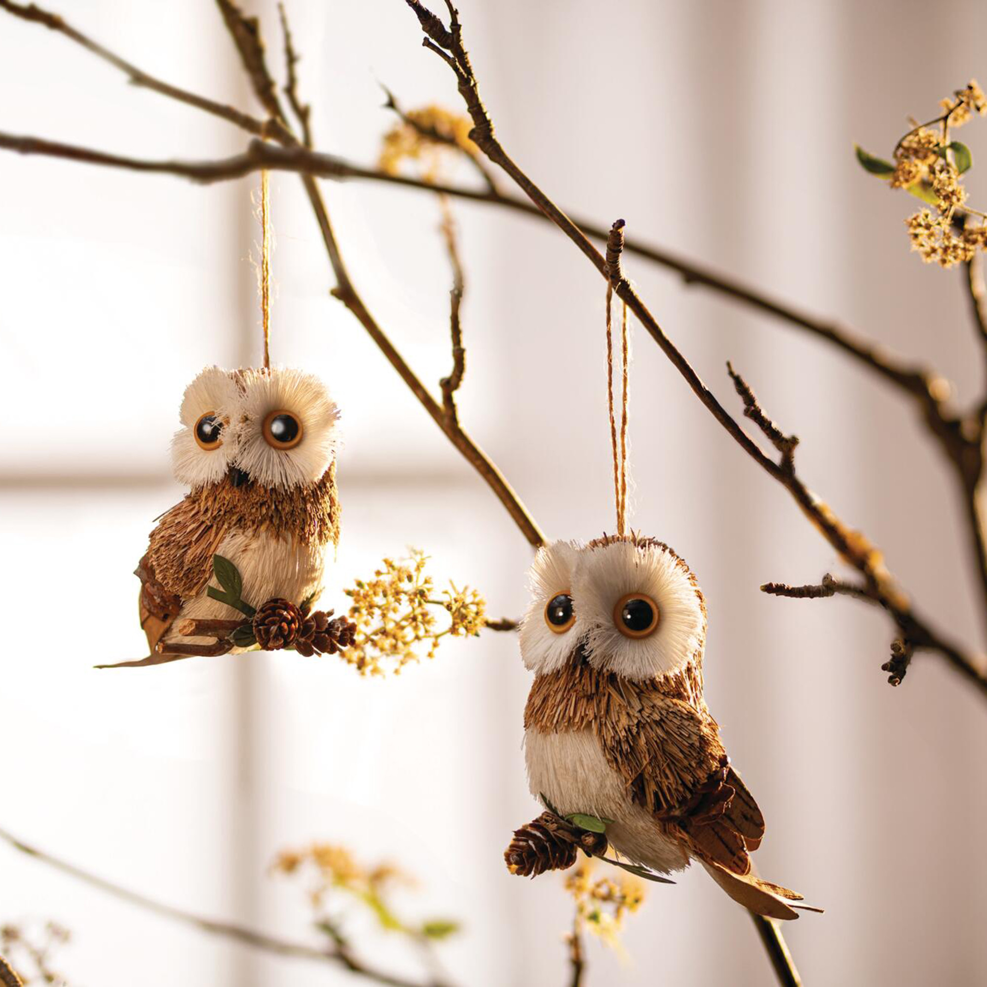 Acheter Suspensions décoratives « Hibou », lot de 2 dans la boutique en ligne de Frank Flechtwaren