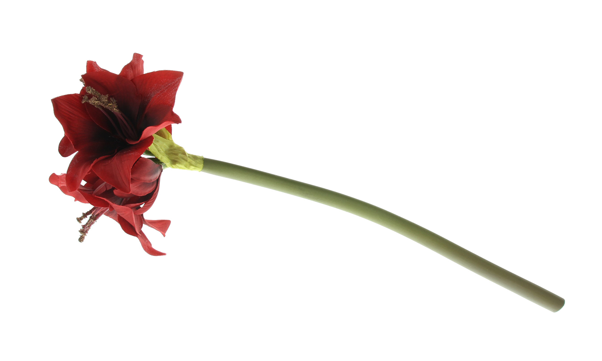 Acheter Fleur artificielle "Amaryllis", rouge  dans la boutique en ligne de Frank Flechtwaren pour Plantes artificielles