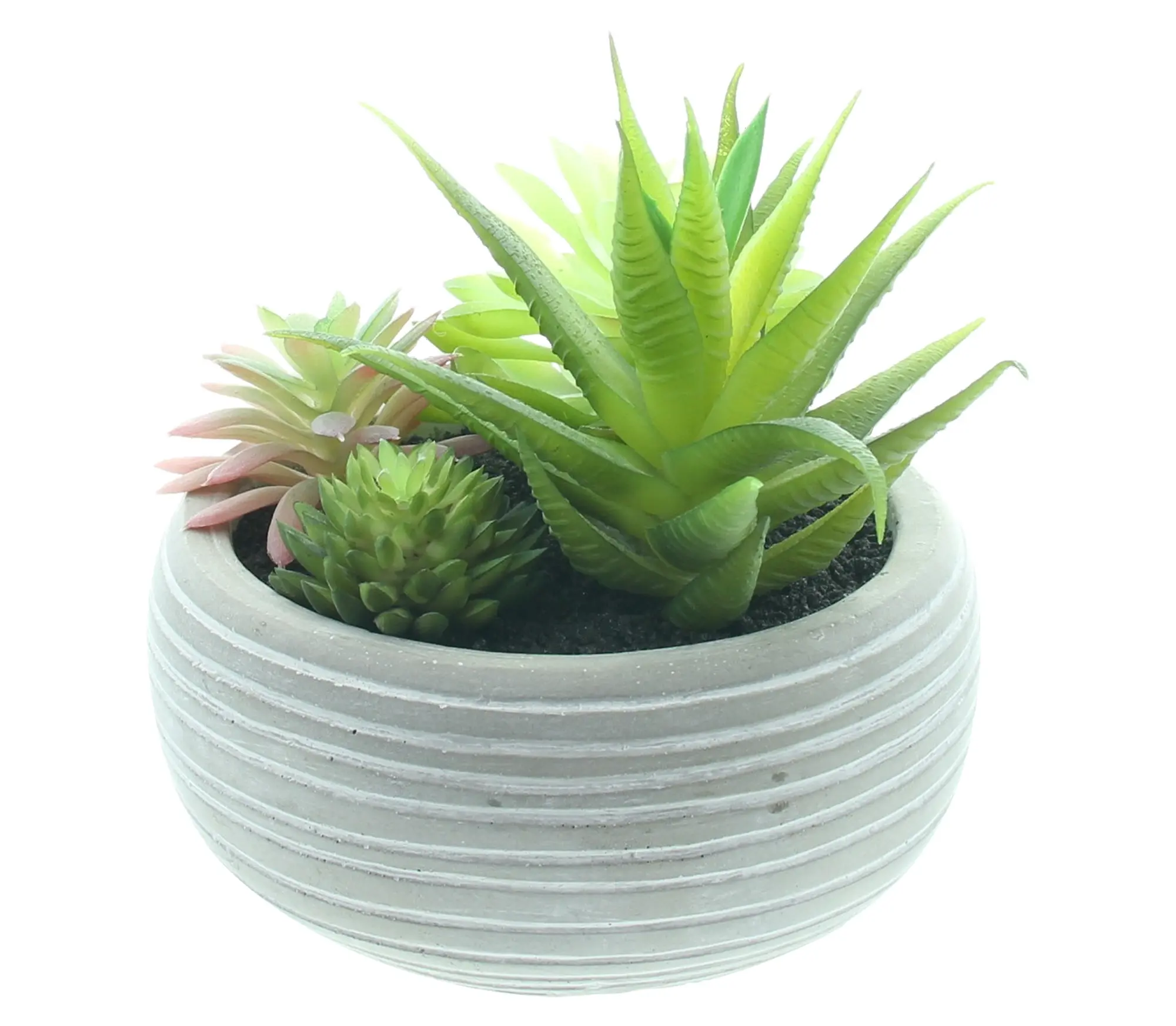 Acheter Plante artificielle en pot "succulente"  dans la boutique en ligne de Frank Flechtwaren pour Nature et vert