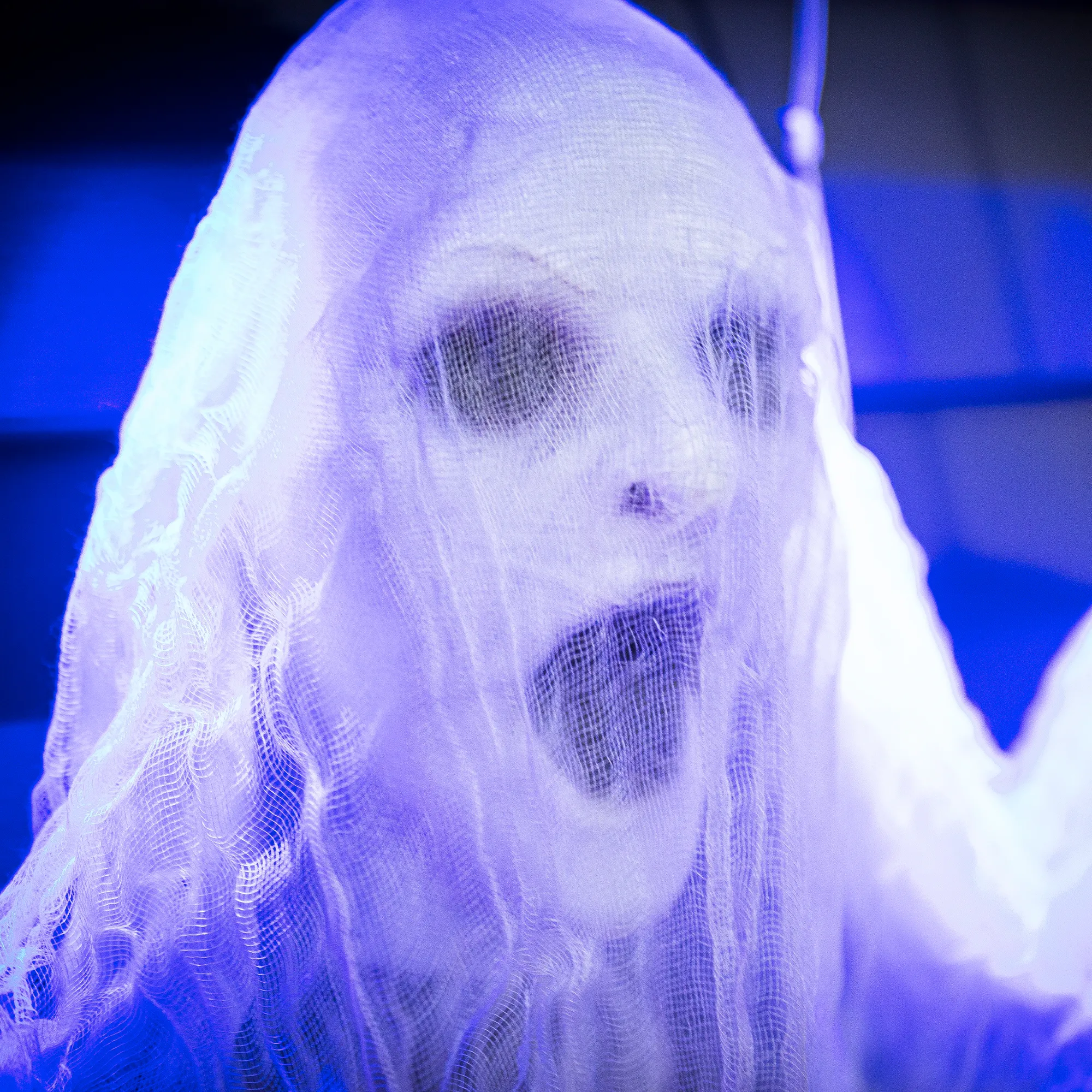 Acheter Suspension LED "Spooky Faces"  dans la boutique en ligne de Frank Flechtwaren pour Halloween
