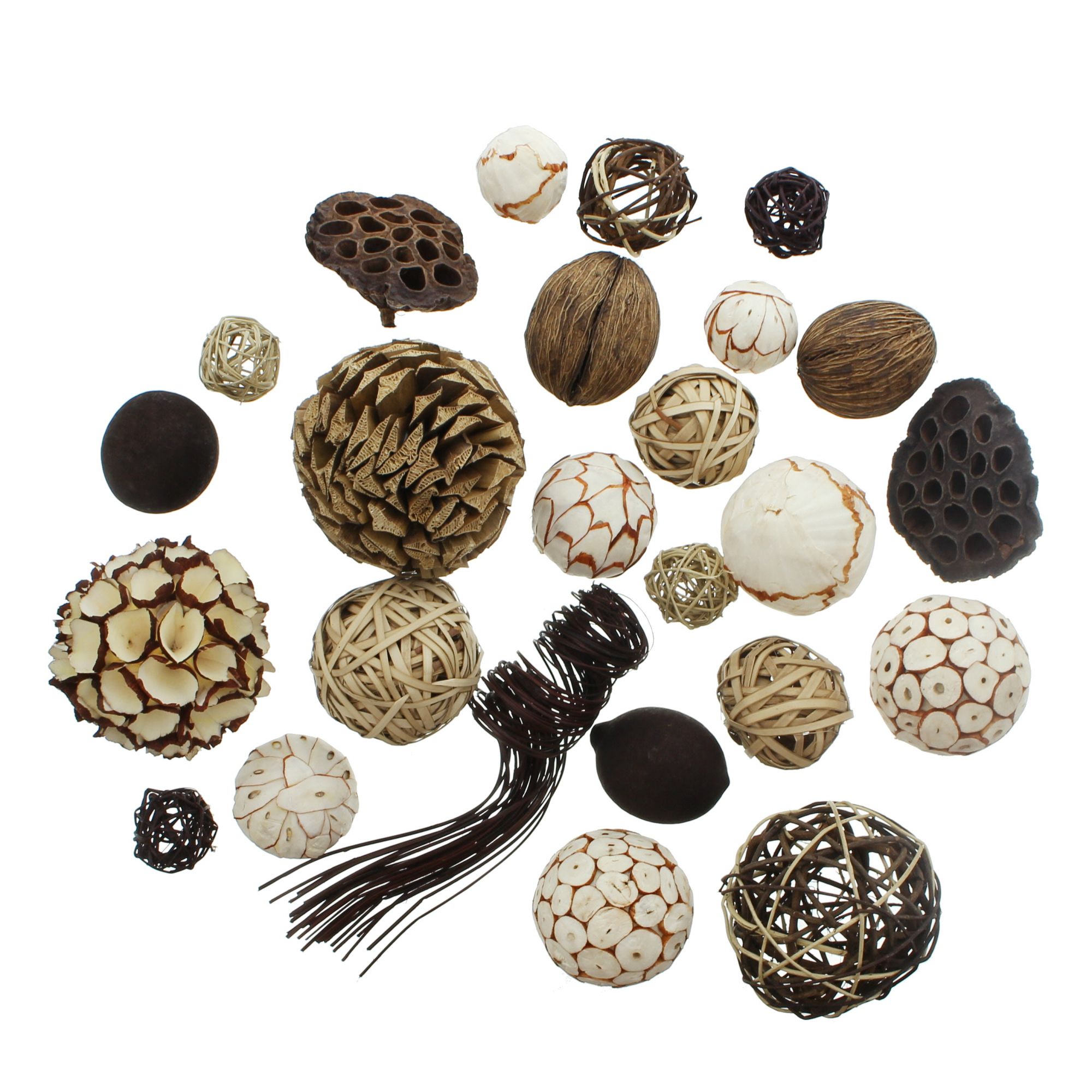 Acheter Lot de 25 boules "naturelles"  dans la boutique en ligne de Frank Flechtwaren pour Automne