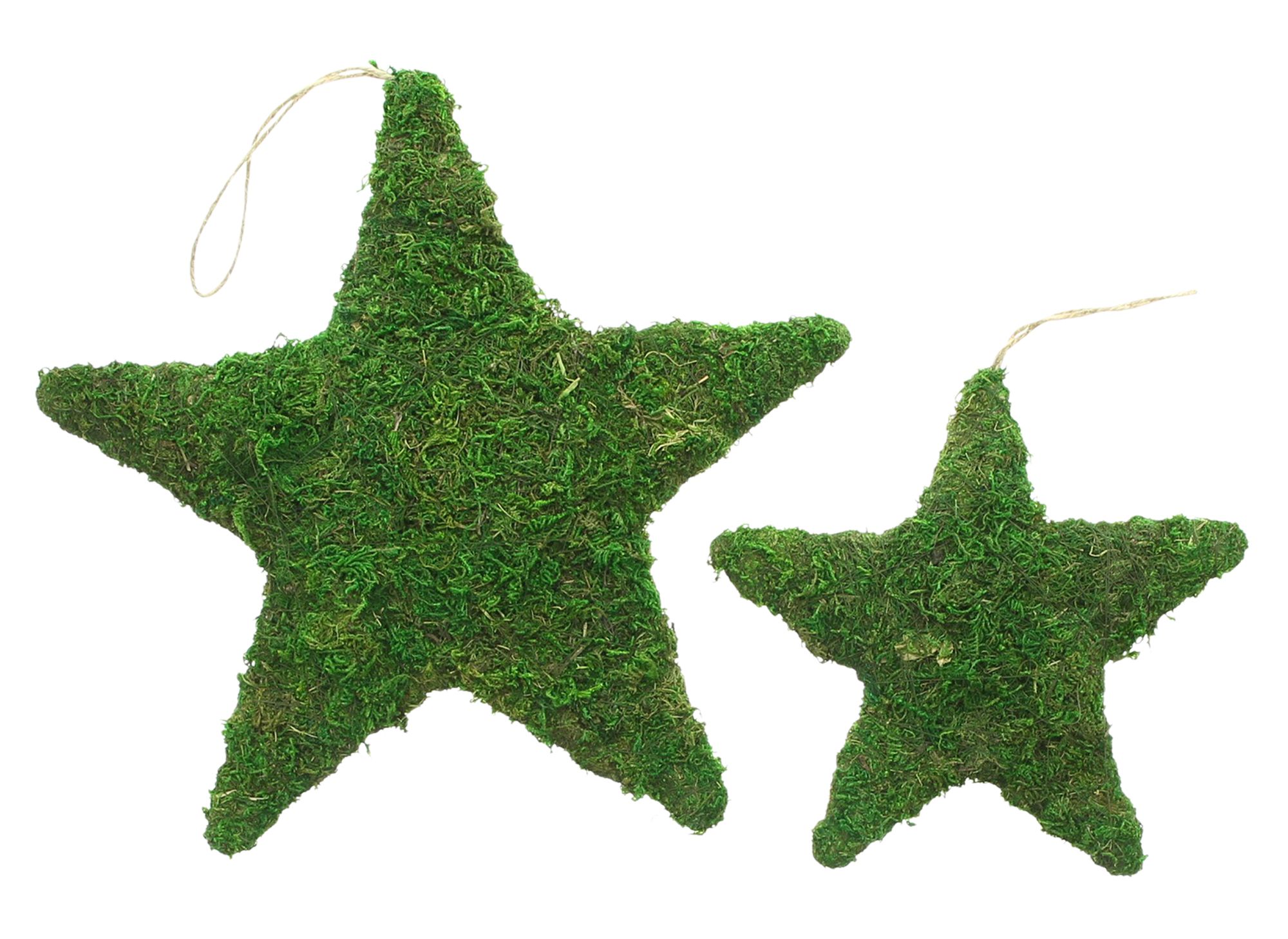 Acheter Lot de 2 étoiles "mousse"  dans la boutique en ligne de Frank Flechtwaren pour Noël