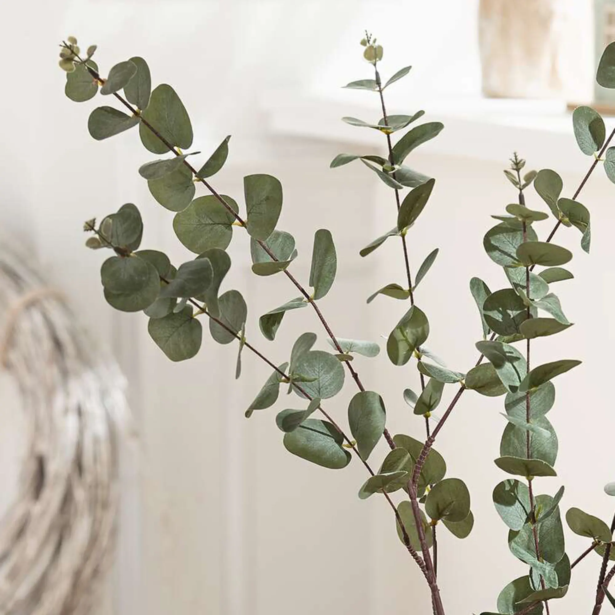 Acheter Lot de 2 branches "eucalyptus"  dans la boutique en ligne de Frank Flechtwaren