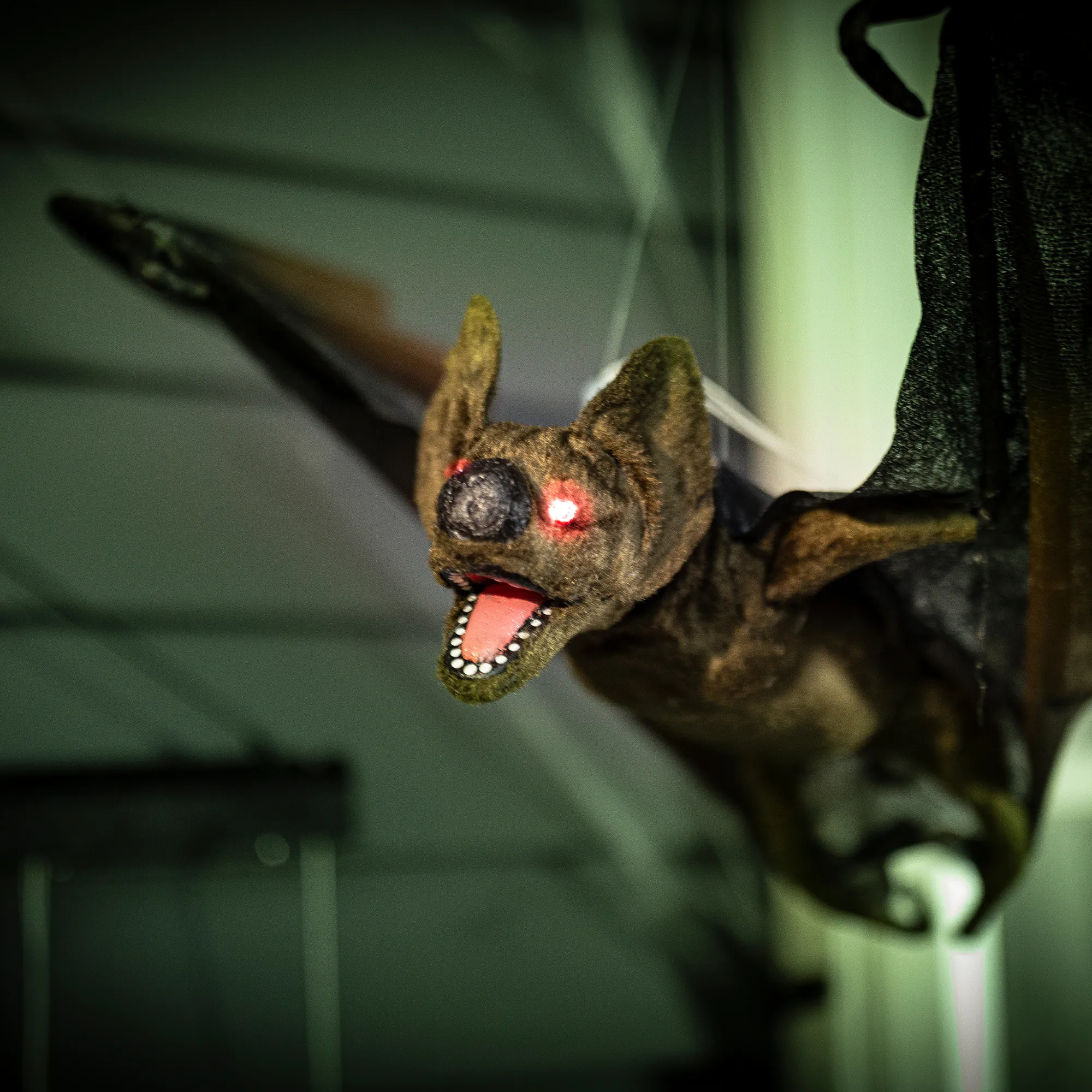 Acheter Chauve-souris LED "Vampire"  dans la boutique en ligne de Frank Flechtwaren pour Halloween