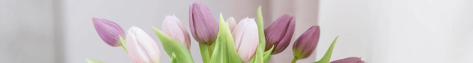 Blumendeko: rosa und pinke Tulpen in Vase als frische Frühlingsdekoration