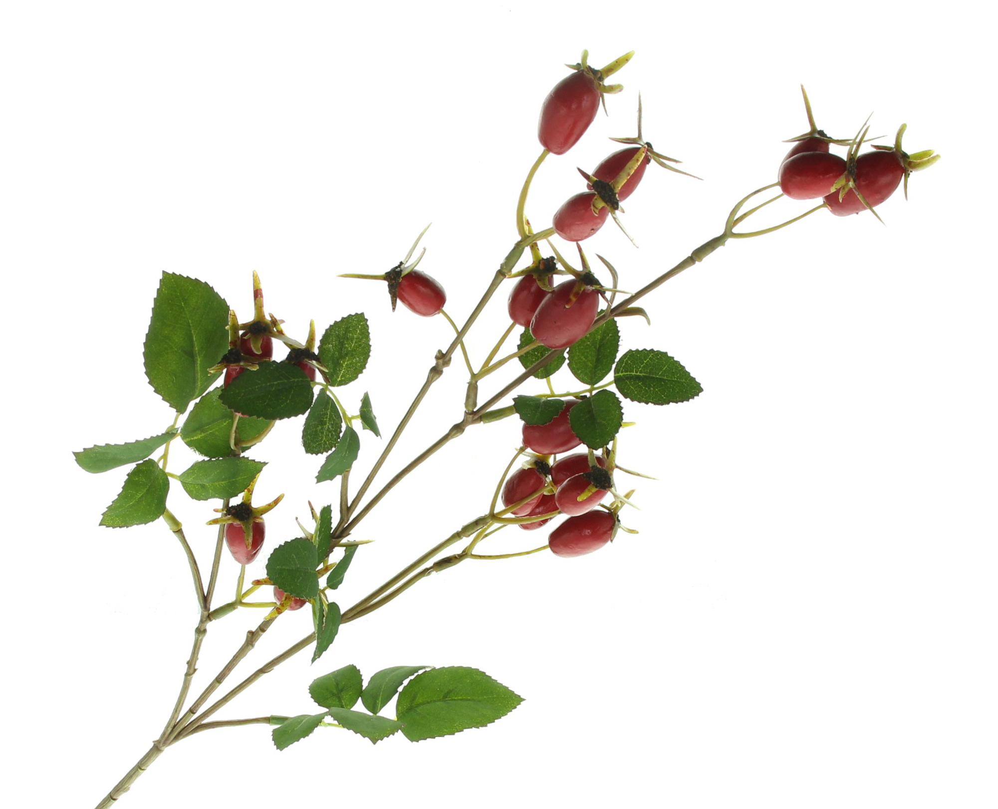 Acheter Branche artificielle "Cynorrhodons"  dans la boutique en ligne de Frank Flechtwaren pour Noël