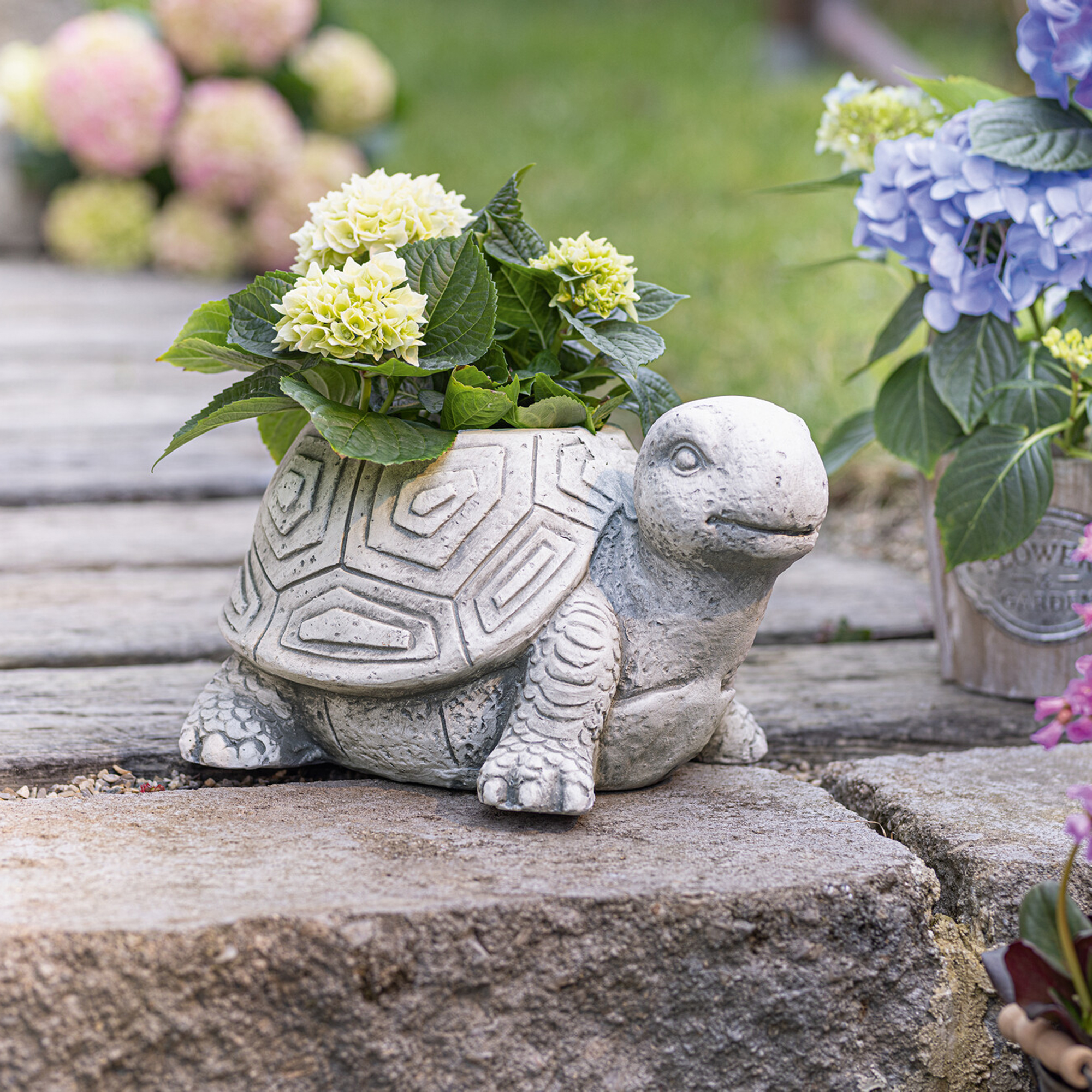 Acheter Jardinière "Tortue"  dans la boutique en ligne de Frank Flechtwaren
