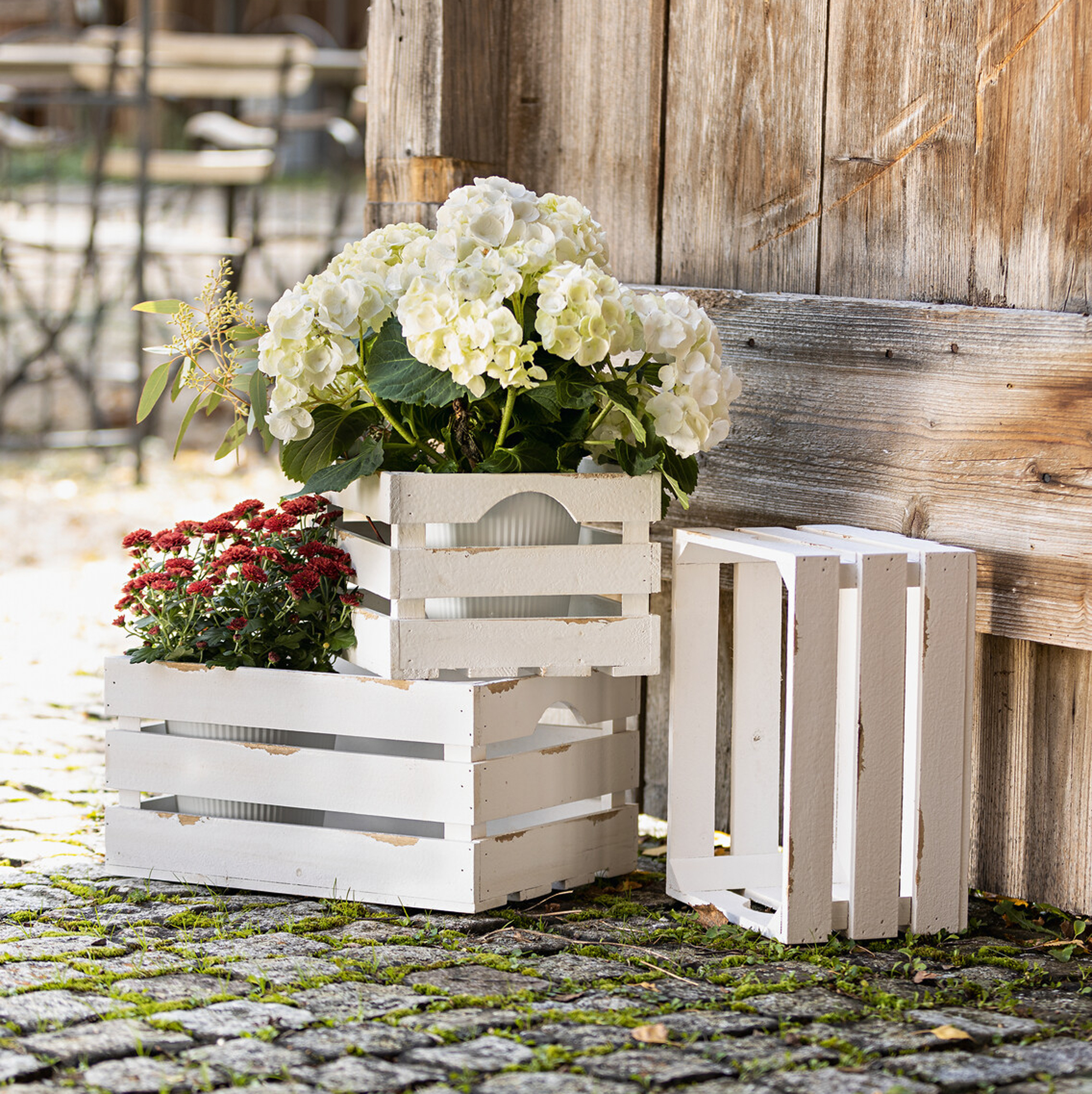 Acheter Lot de 2 cagettes "Used-Look"  dans la boutique en ligne de Frank Flechtwaren pour Chambre d'enfant