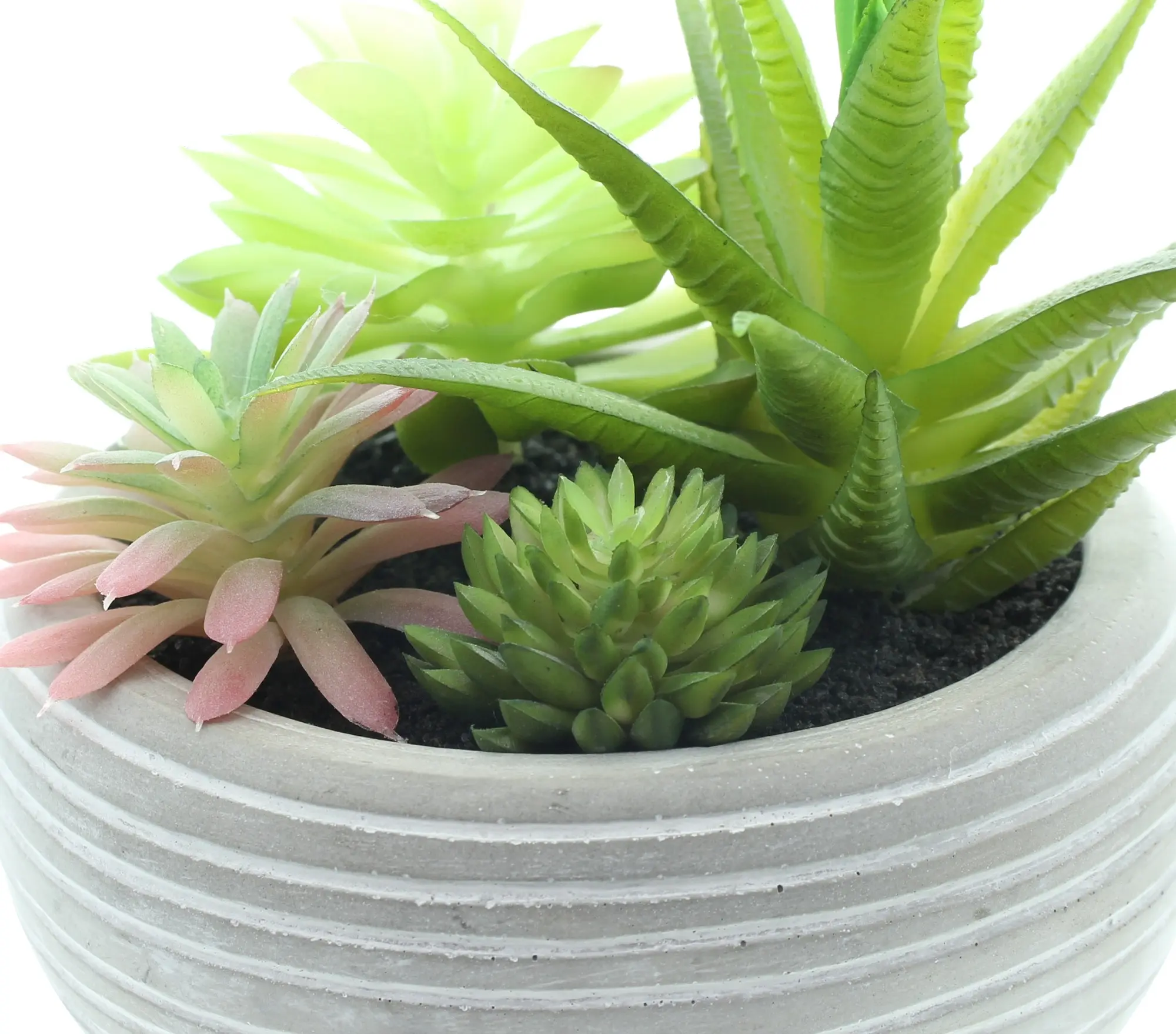Acheter Plante artificielle en pot "succulente"  dans la boutique en ligne de Frank Flechtwaren pour Nature et vert
