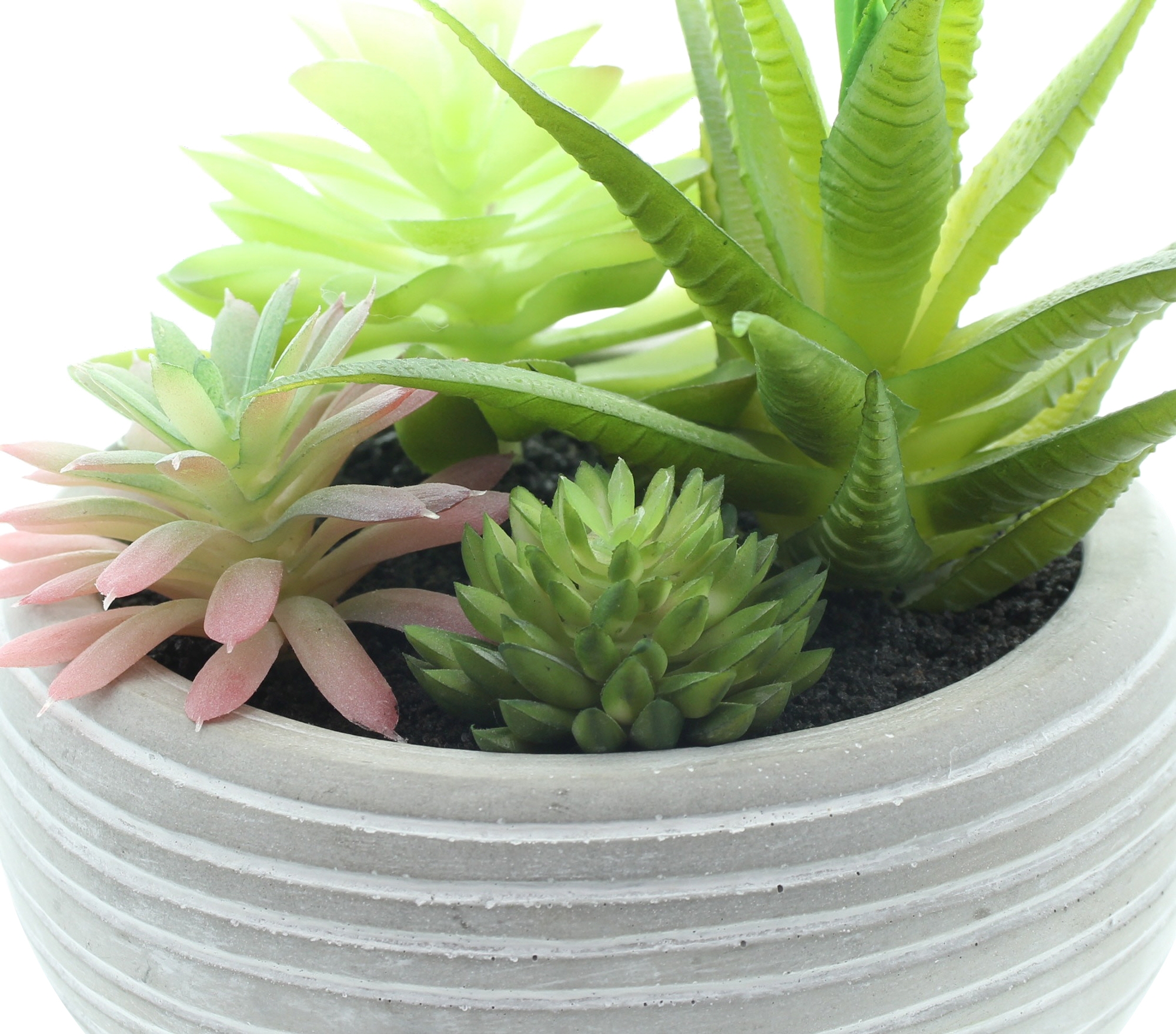Acheter Plante artificielle en pot "succulente"  dans la boutique en ligne de Frank Flechtwaren pour Nouvel arrivage