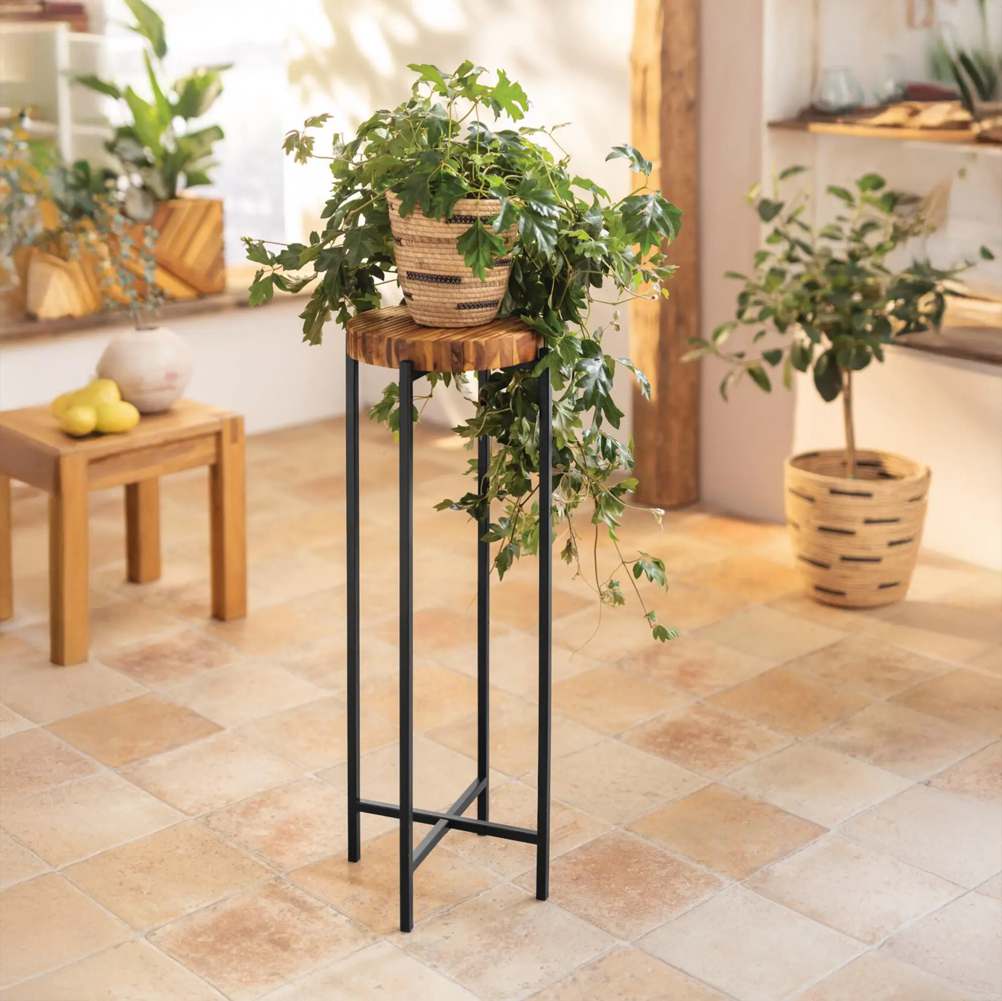 Acheter Support pour plantes "Industrial"  dans la boutique en ligne de Frank Flechtwaren pour Colonnes décoratives