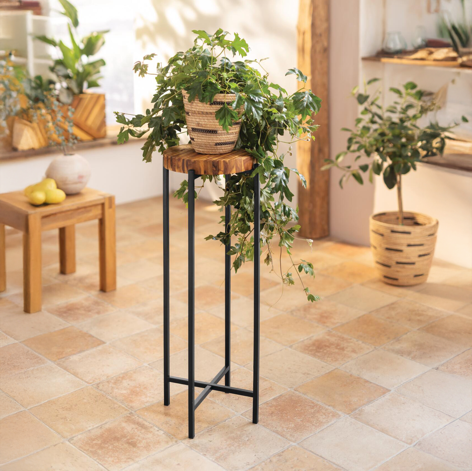 Acheter Support pour plantes "Industrial"  dans la boutique en ligne de Frank Flechtwaren